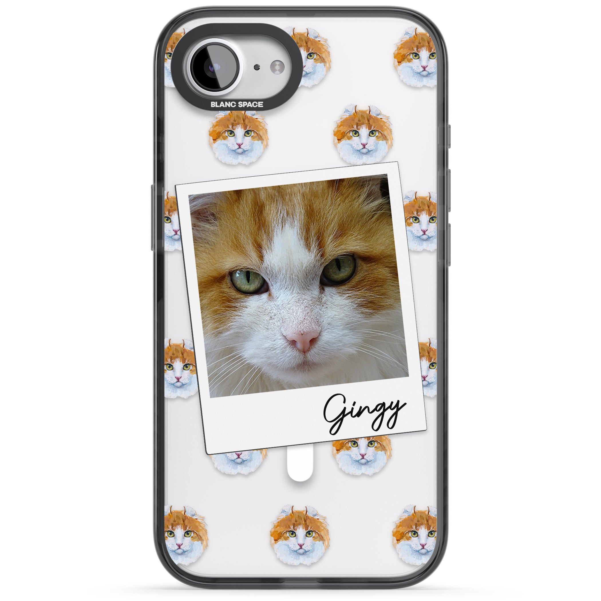 Personalised American Curl Photo