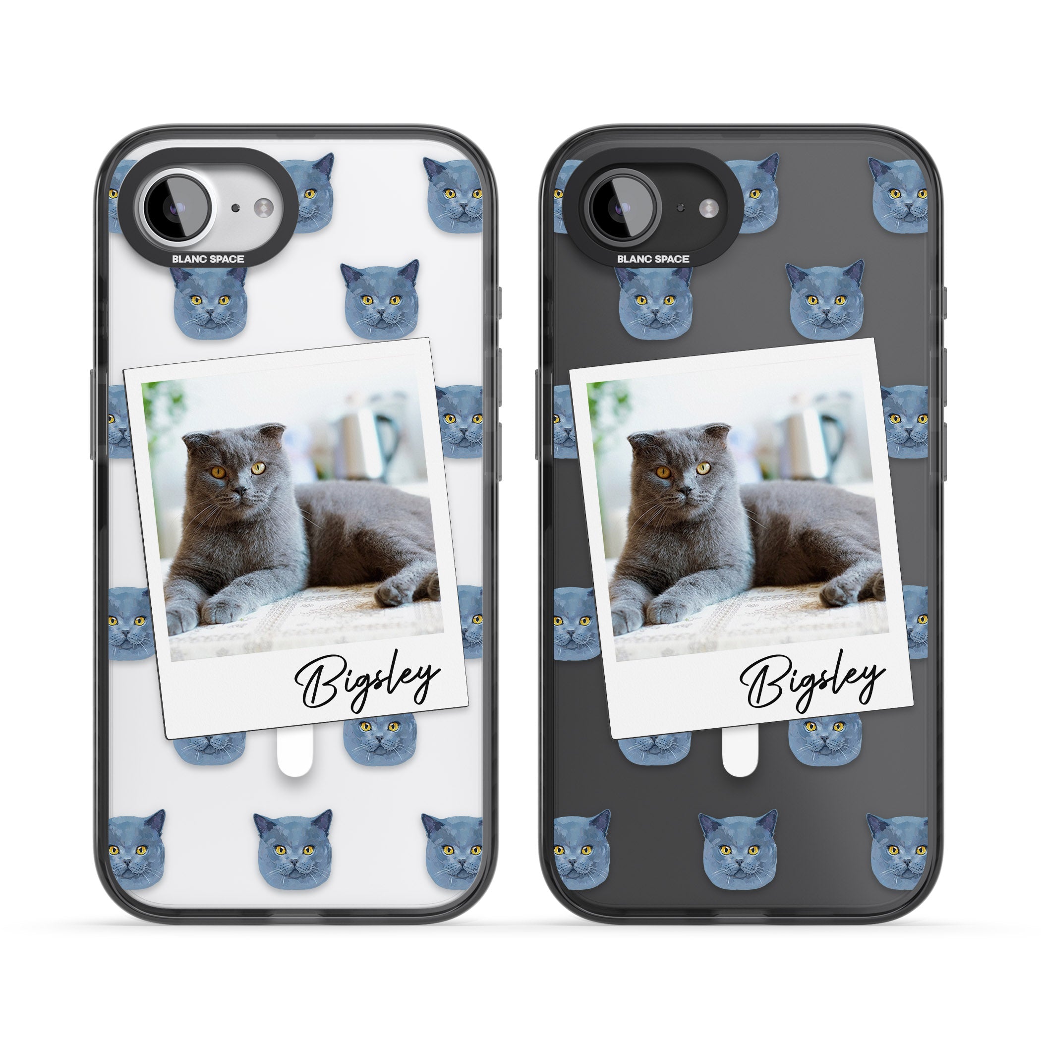 Personalised English Blue Cat Photo