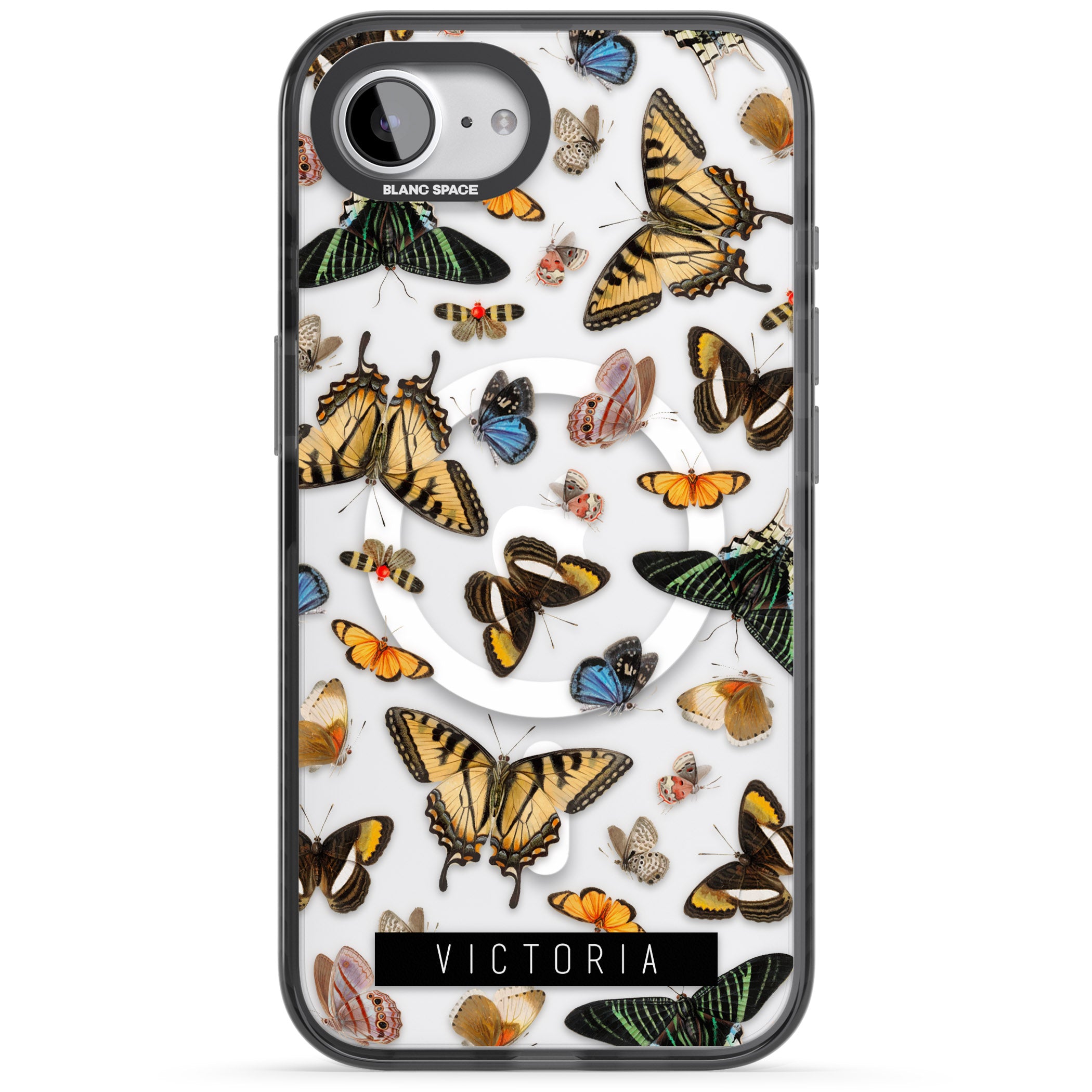 Personalised Butterfly Archive
