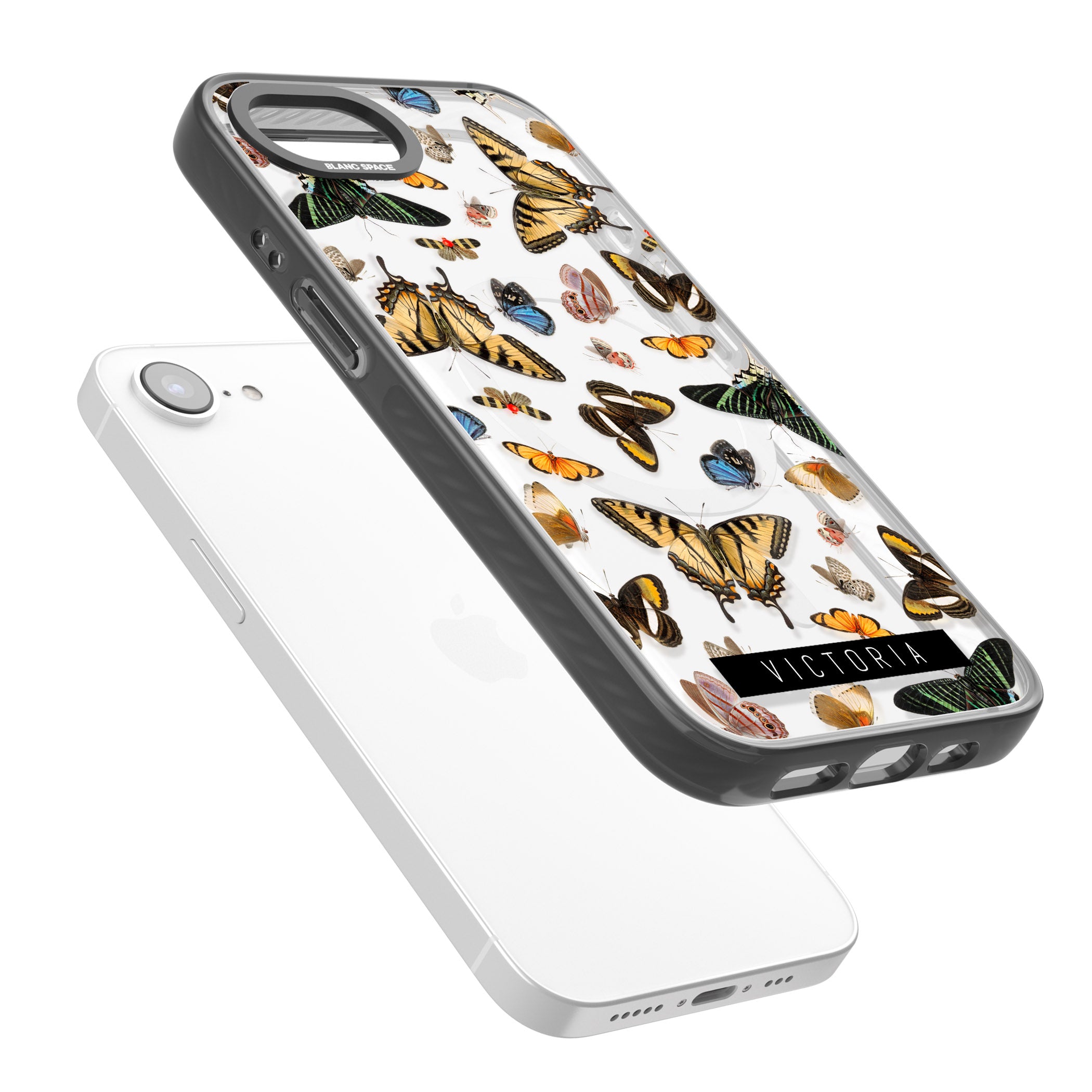 Personalised Butterfly Archive