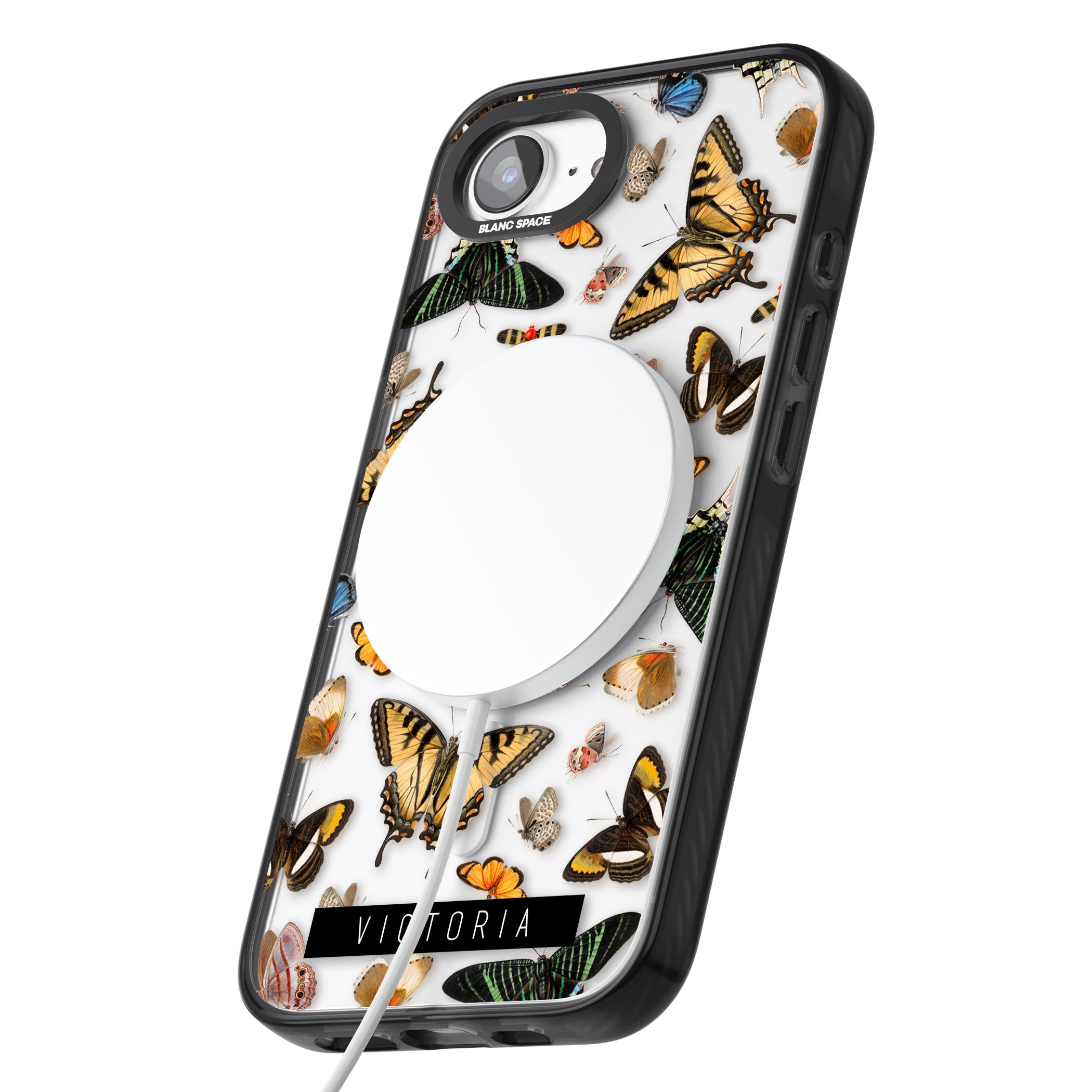 Personalised Butterfly Archive