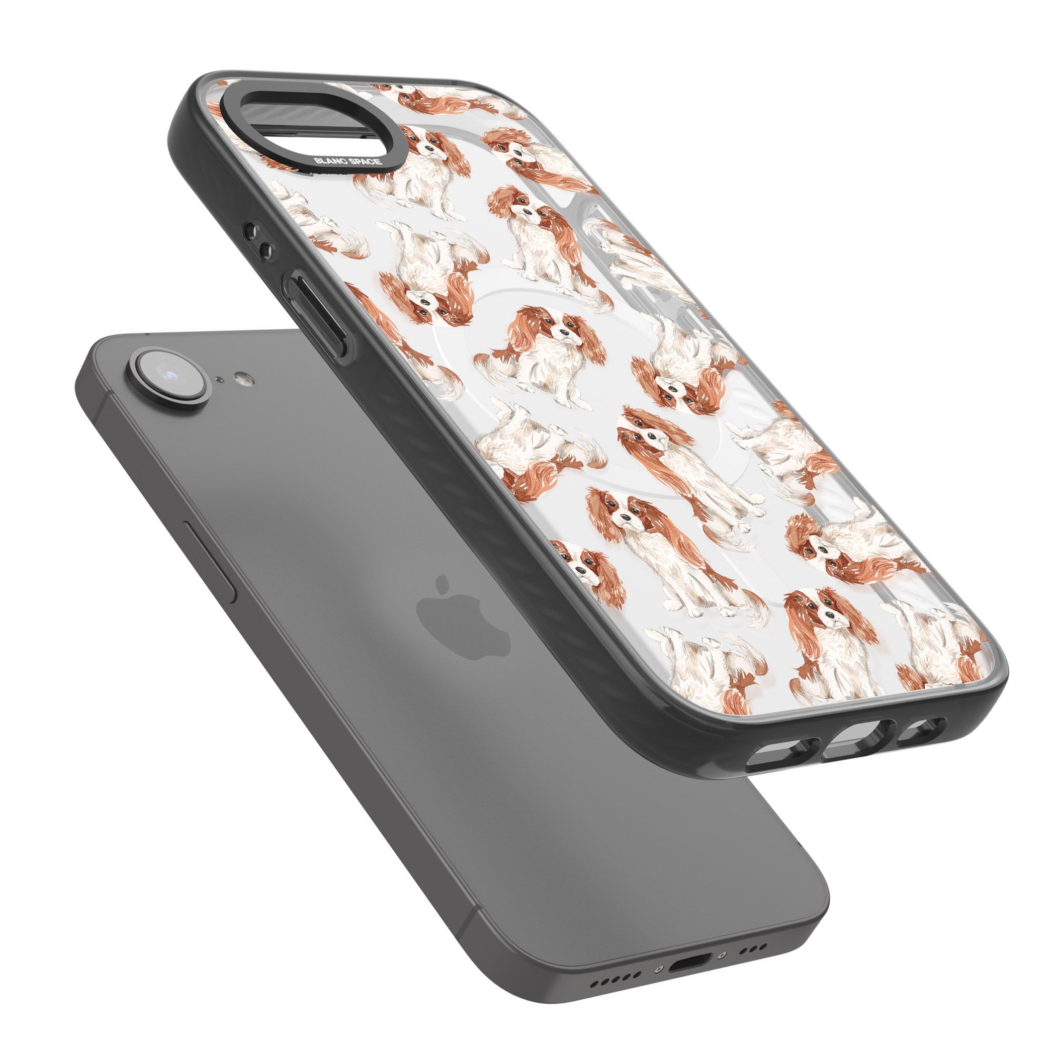 Cavalier King Charles Spaniel