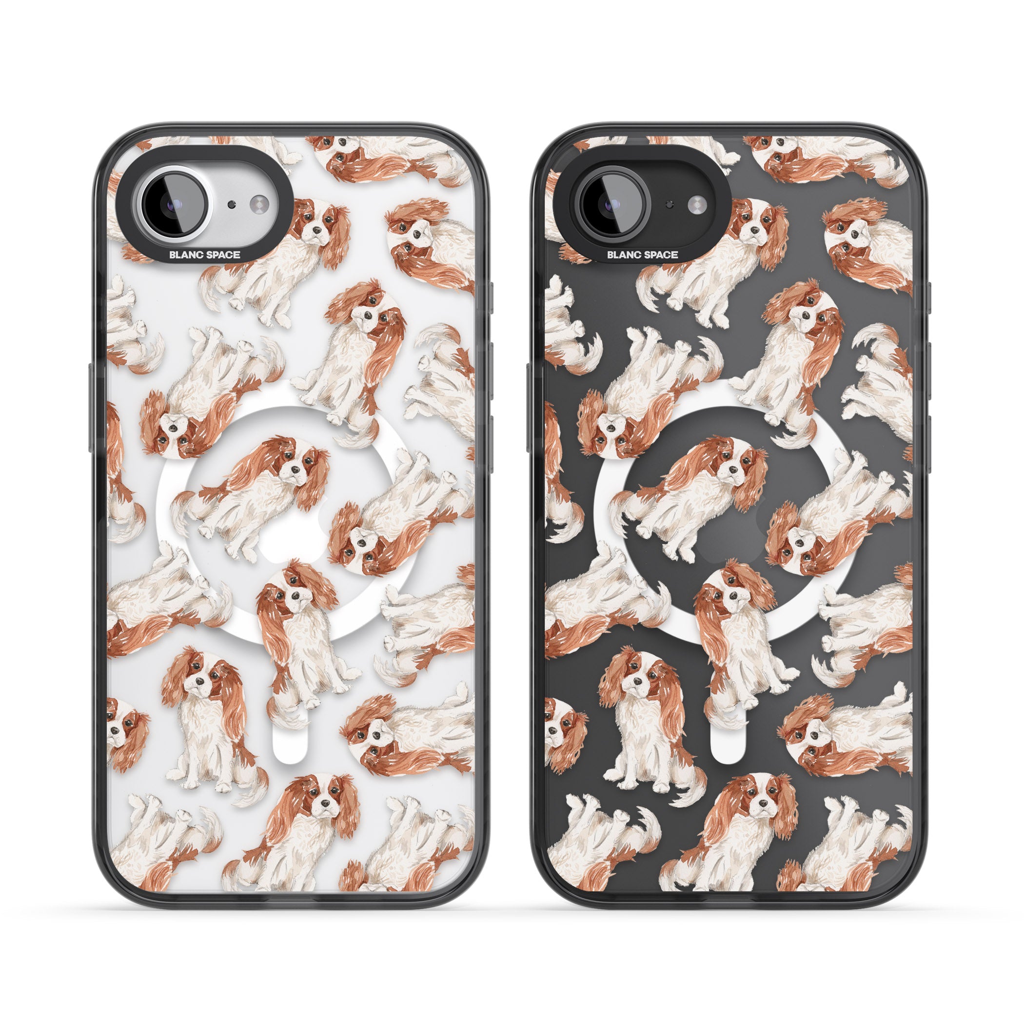 Cavalier King Charles Spaniel