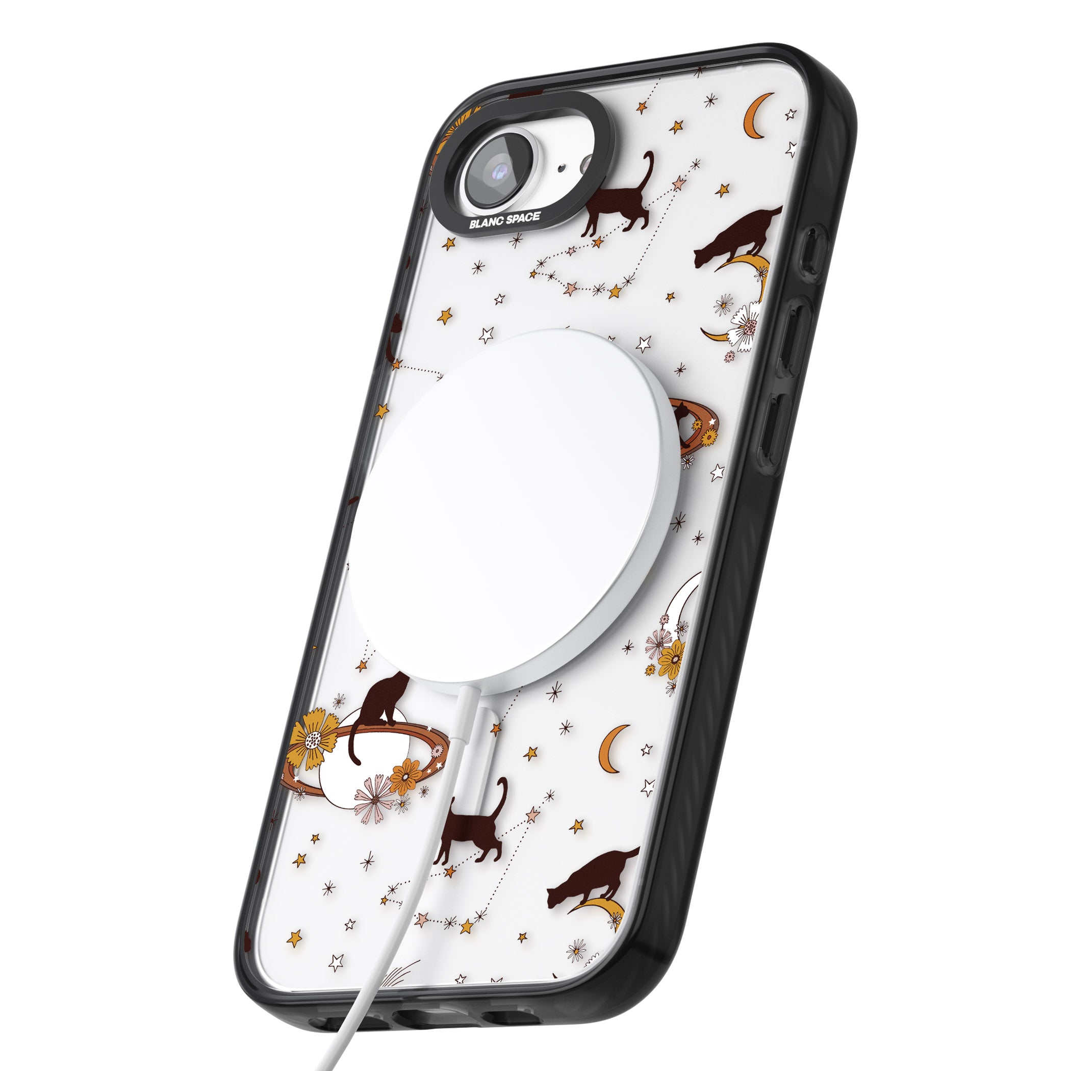 Halloween Cats And Astrology