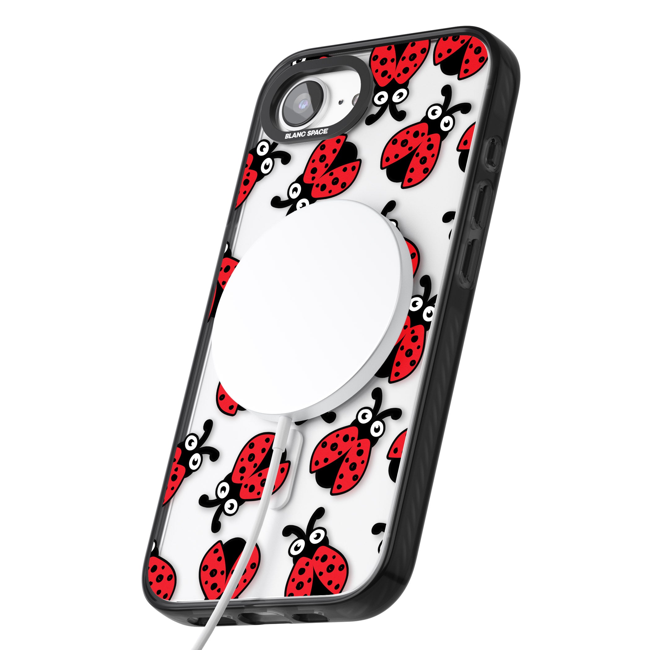 Ladybug Pattern