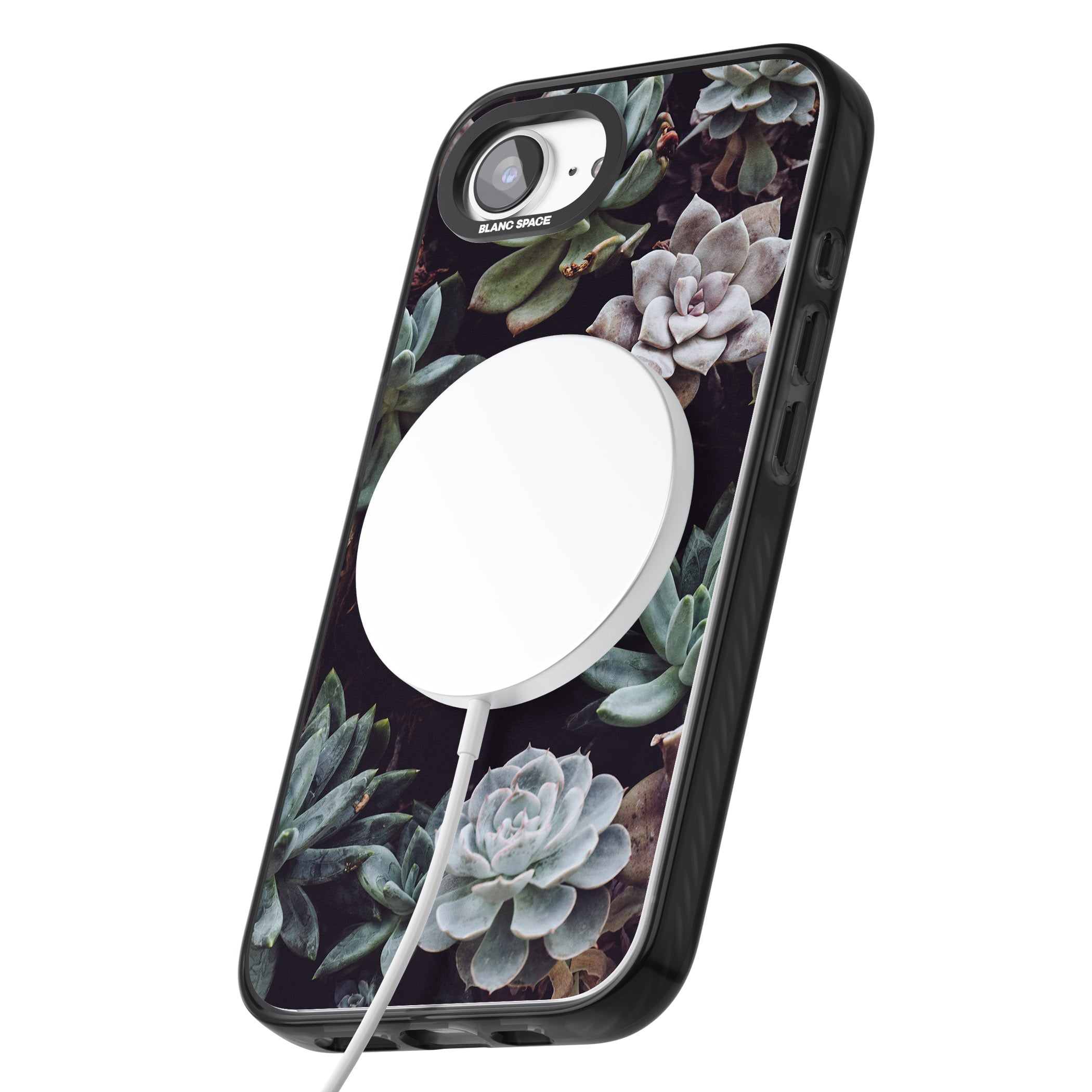 Succulent Bloom Mixed