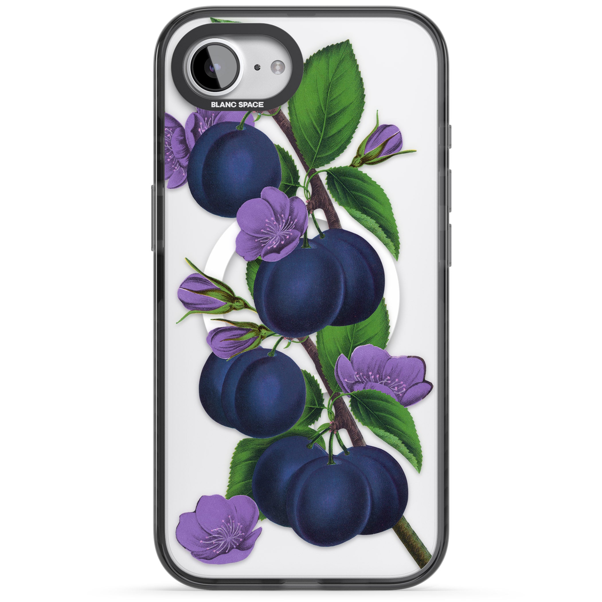 Vintage Painted Plums