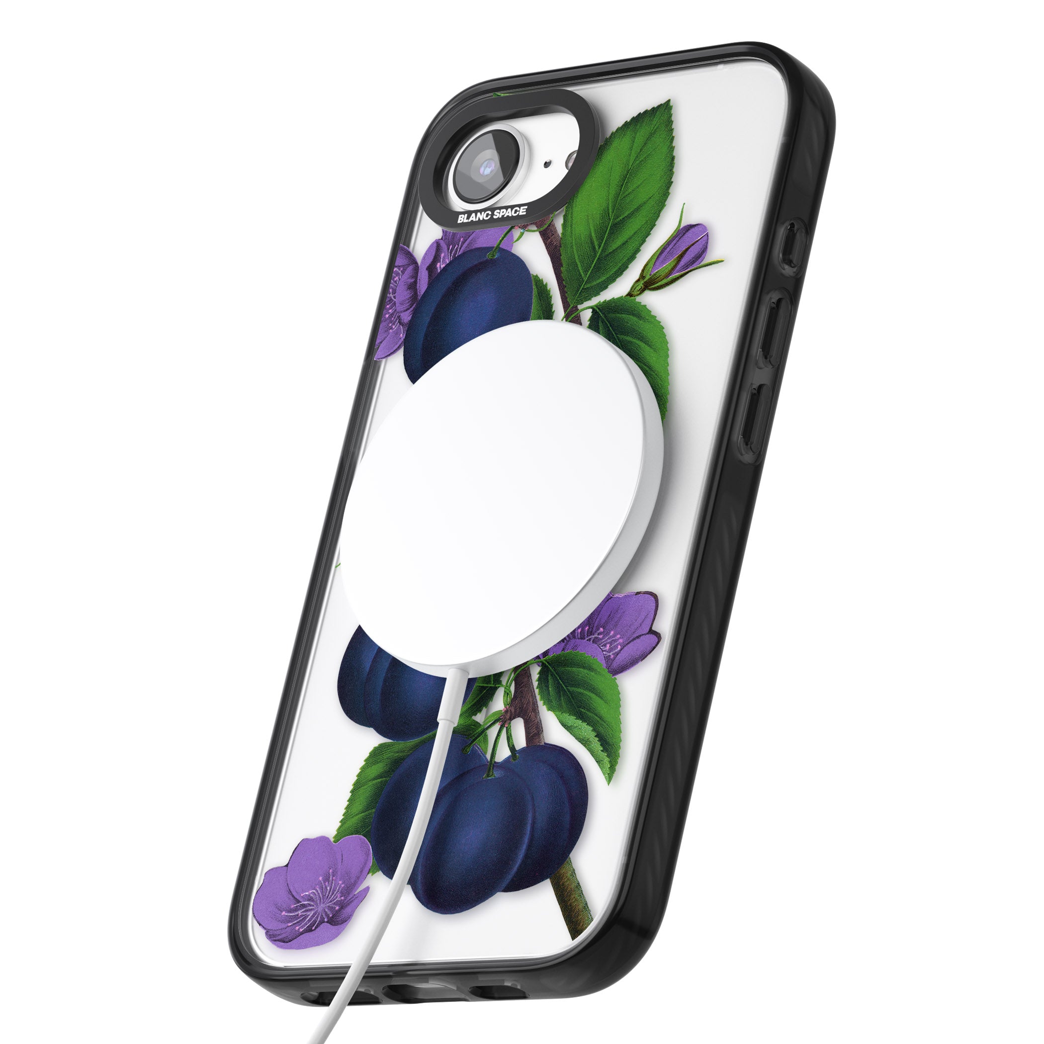 Vintage Painted Plums