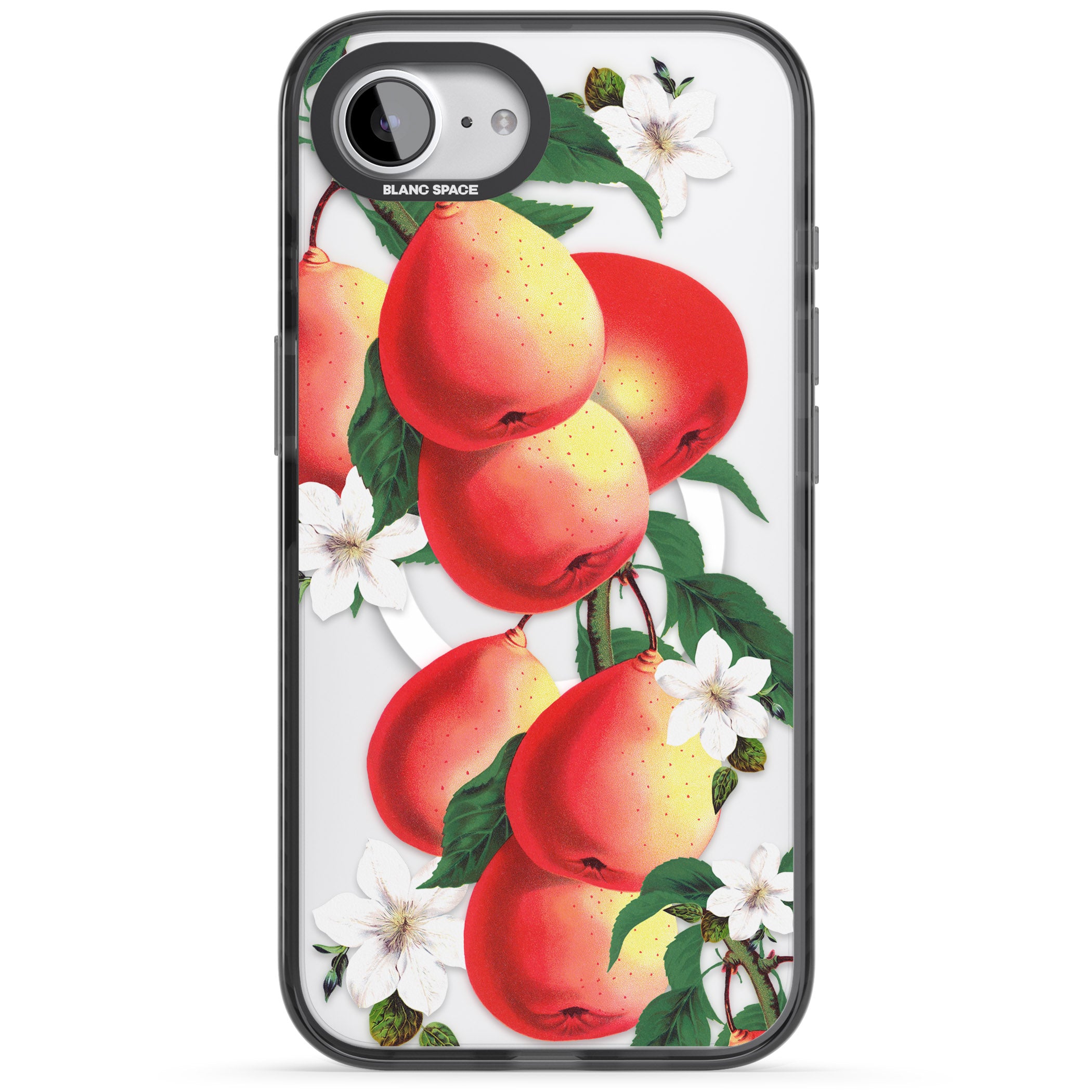 Vintage Painted Peaches