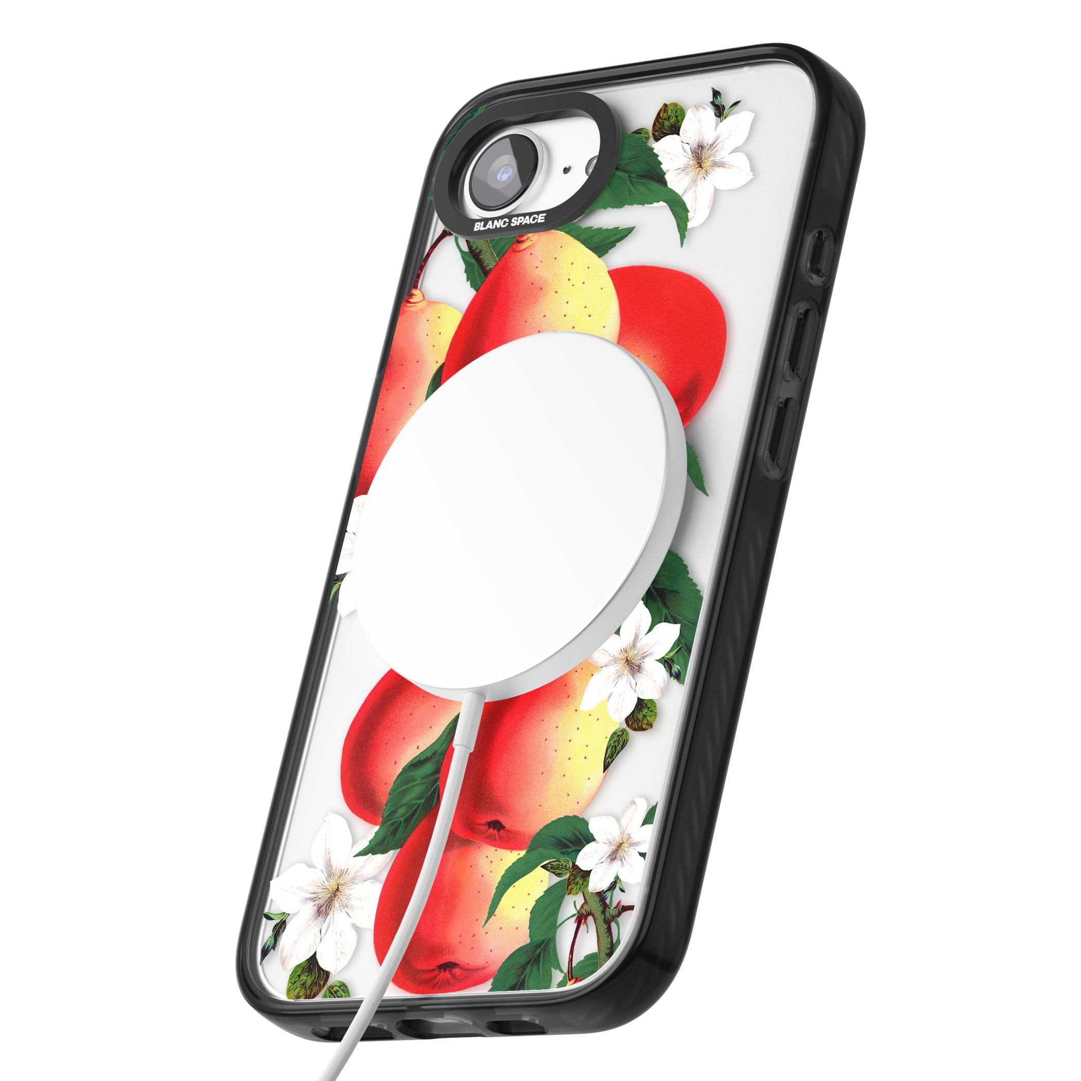 Vintage Painted Peaches