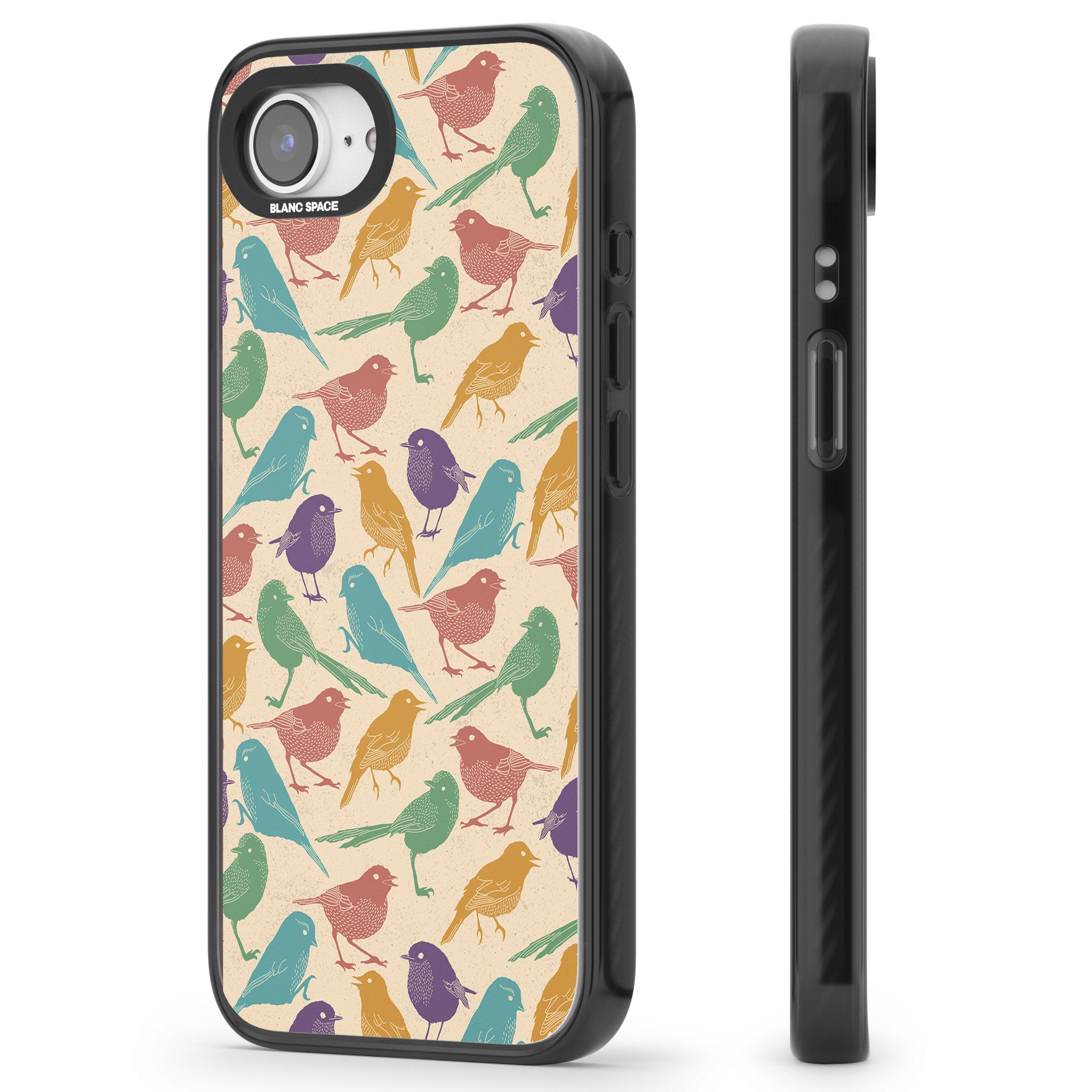 Colorful Feathered Friends