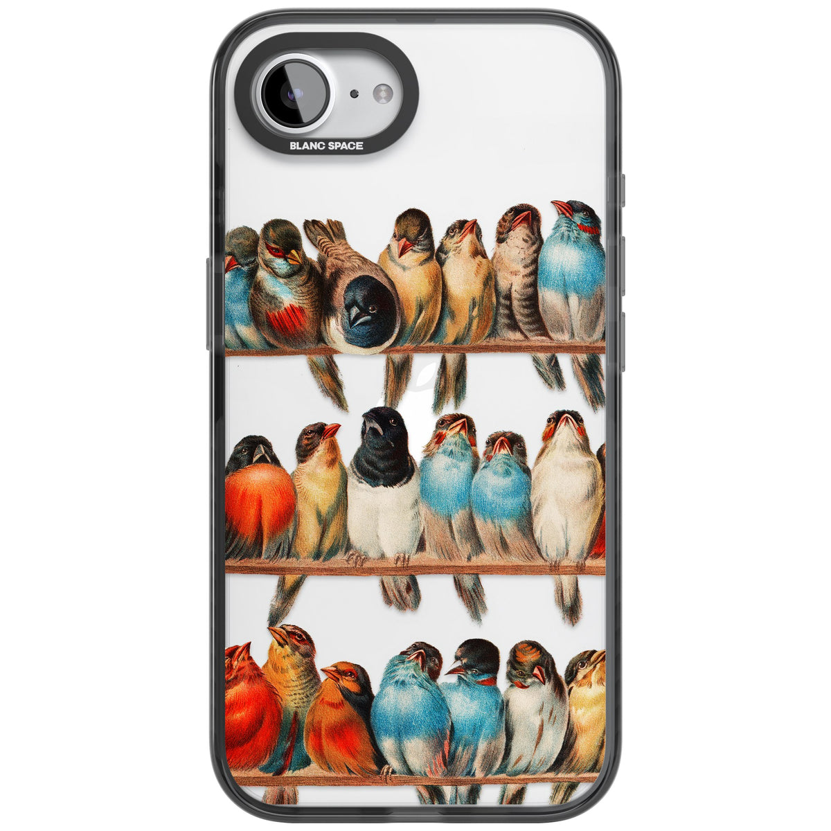 A Perch Of Birds iPhone 16e / iPhone 17e Impact Black Phone Case front