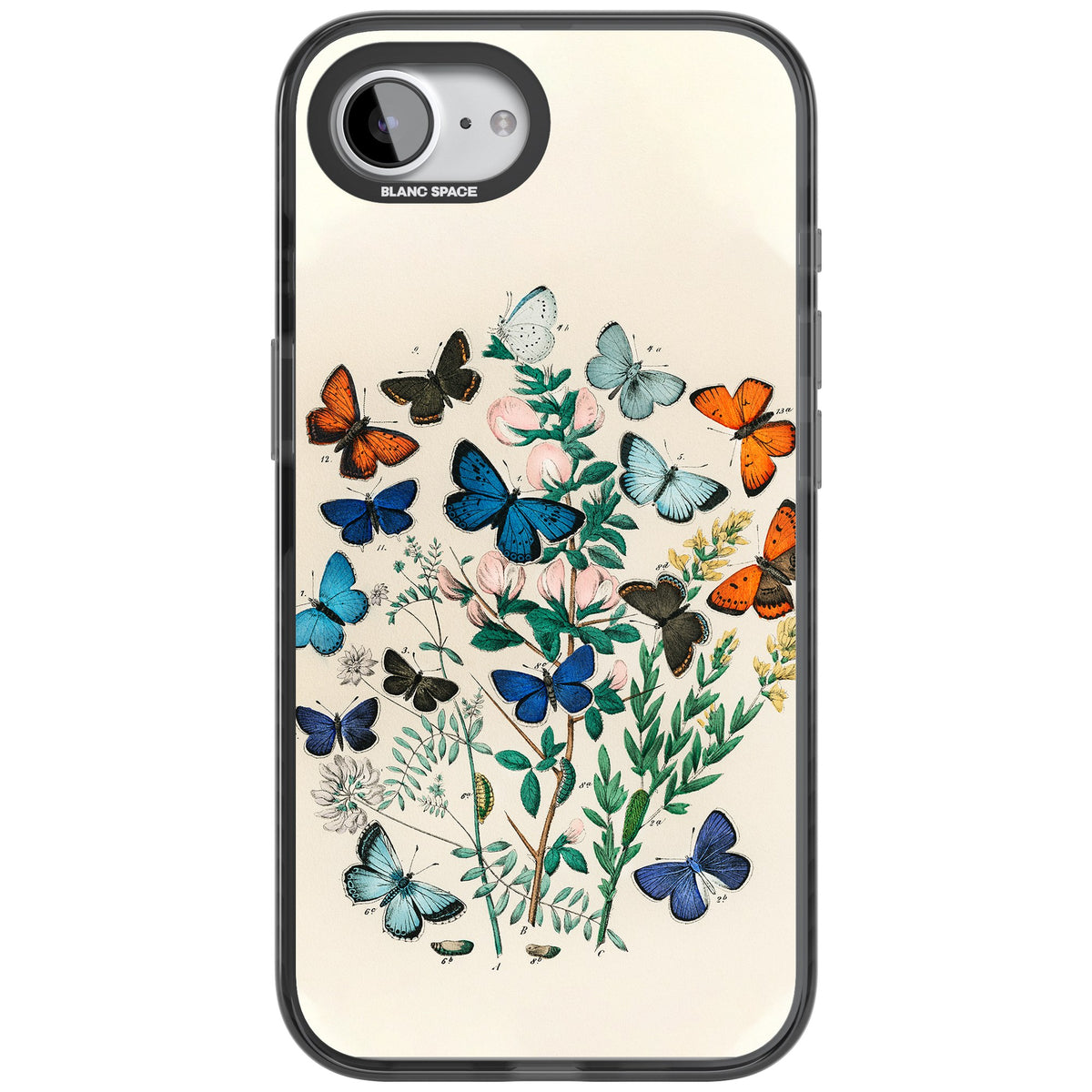 European Butterflies iPhone 16e / iPhone 17e Impact Black Phone Case front