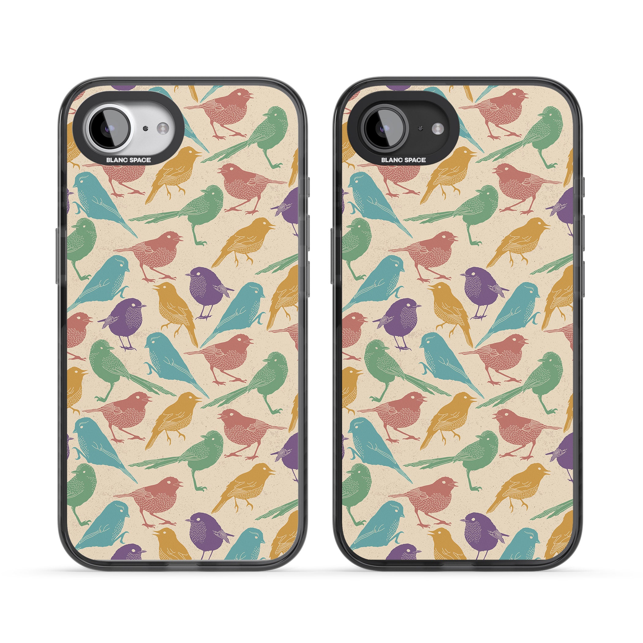 Colorful Feathered Friends