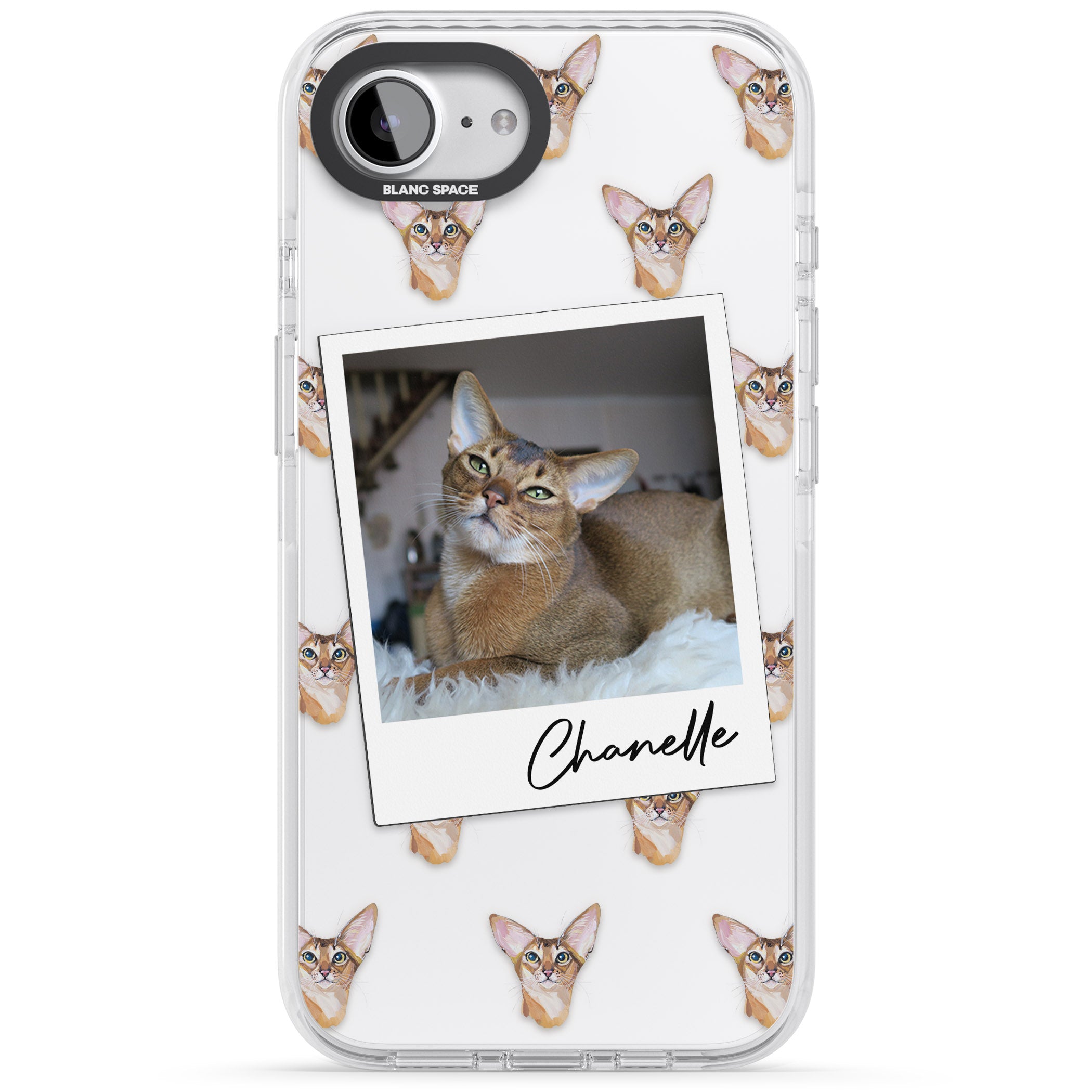 Personalised Abyssinian Cat Photo