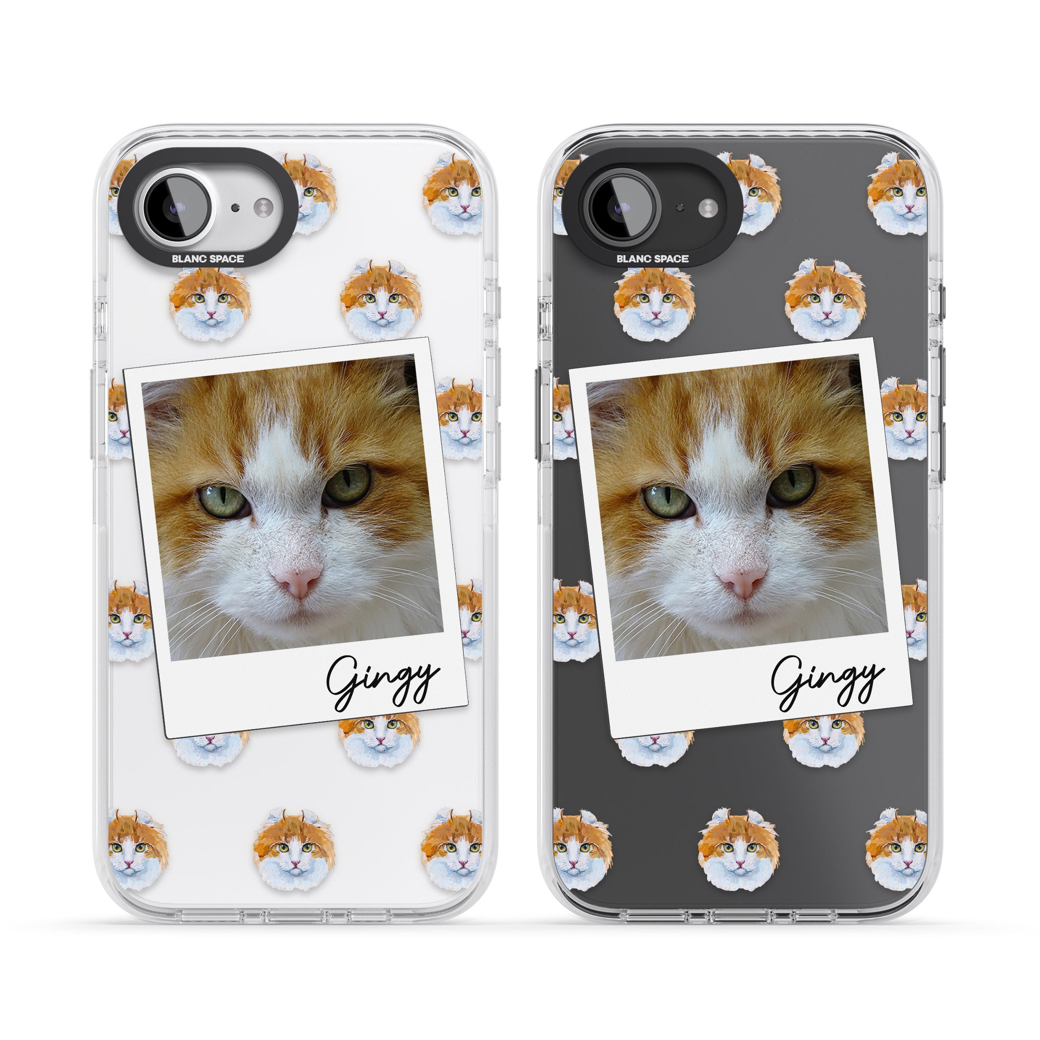 Personalised American Curl Photo