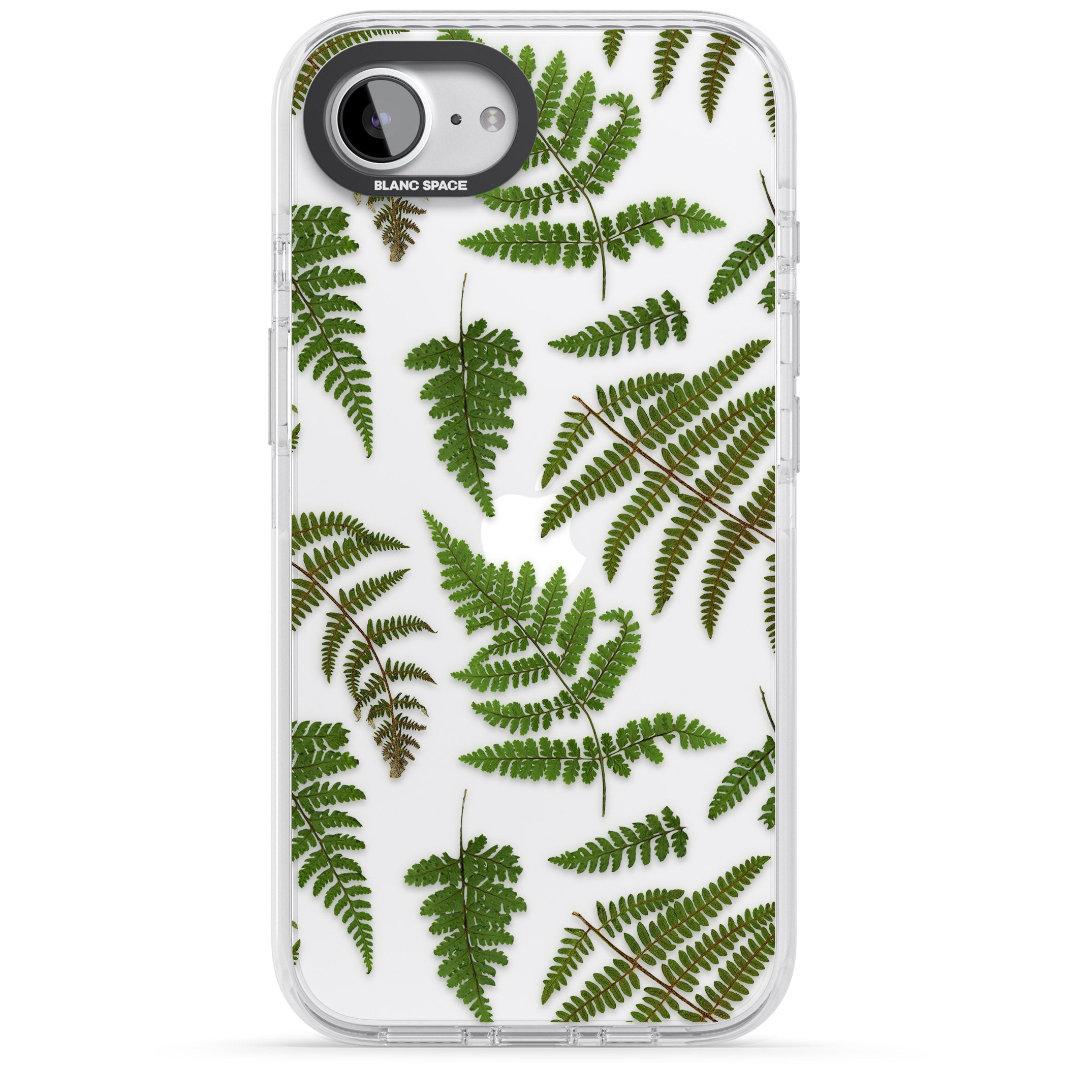 Leafy Ferns