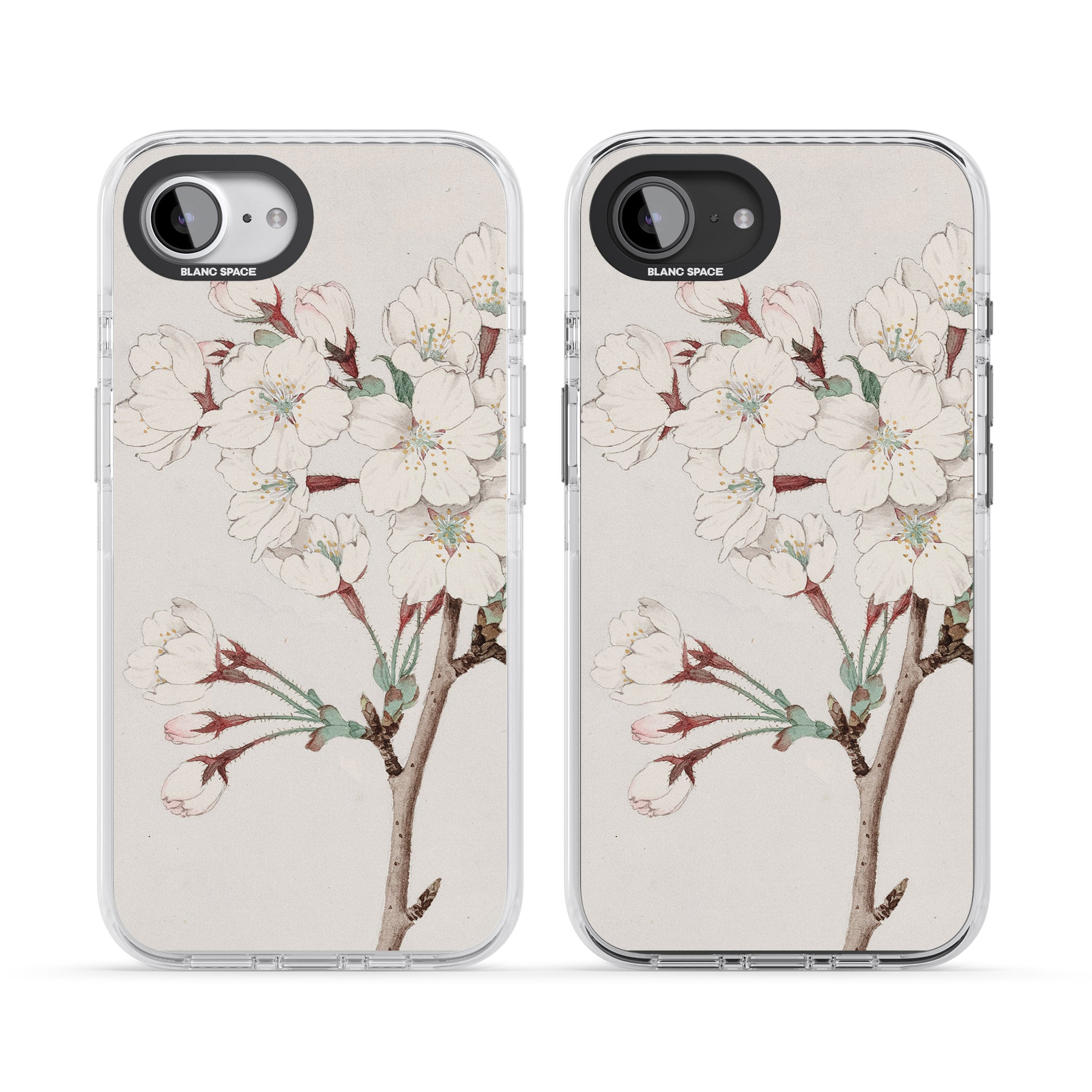 Vintage Japanese Illustrations Cherry Blossoms