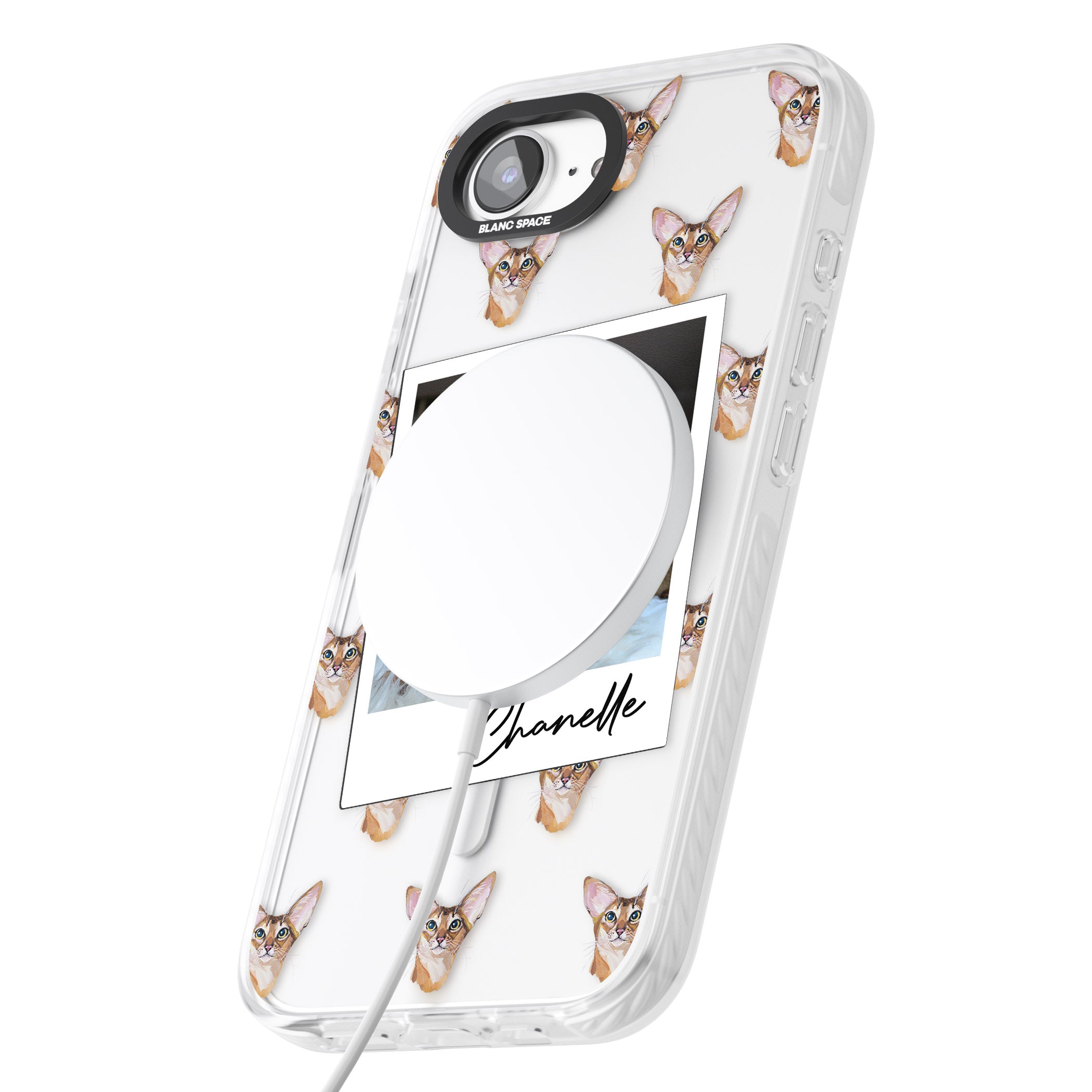 Personalised Abyssinian Cat Photo