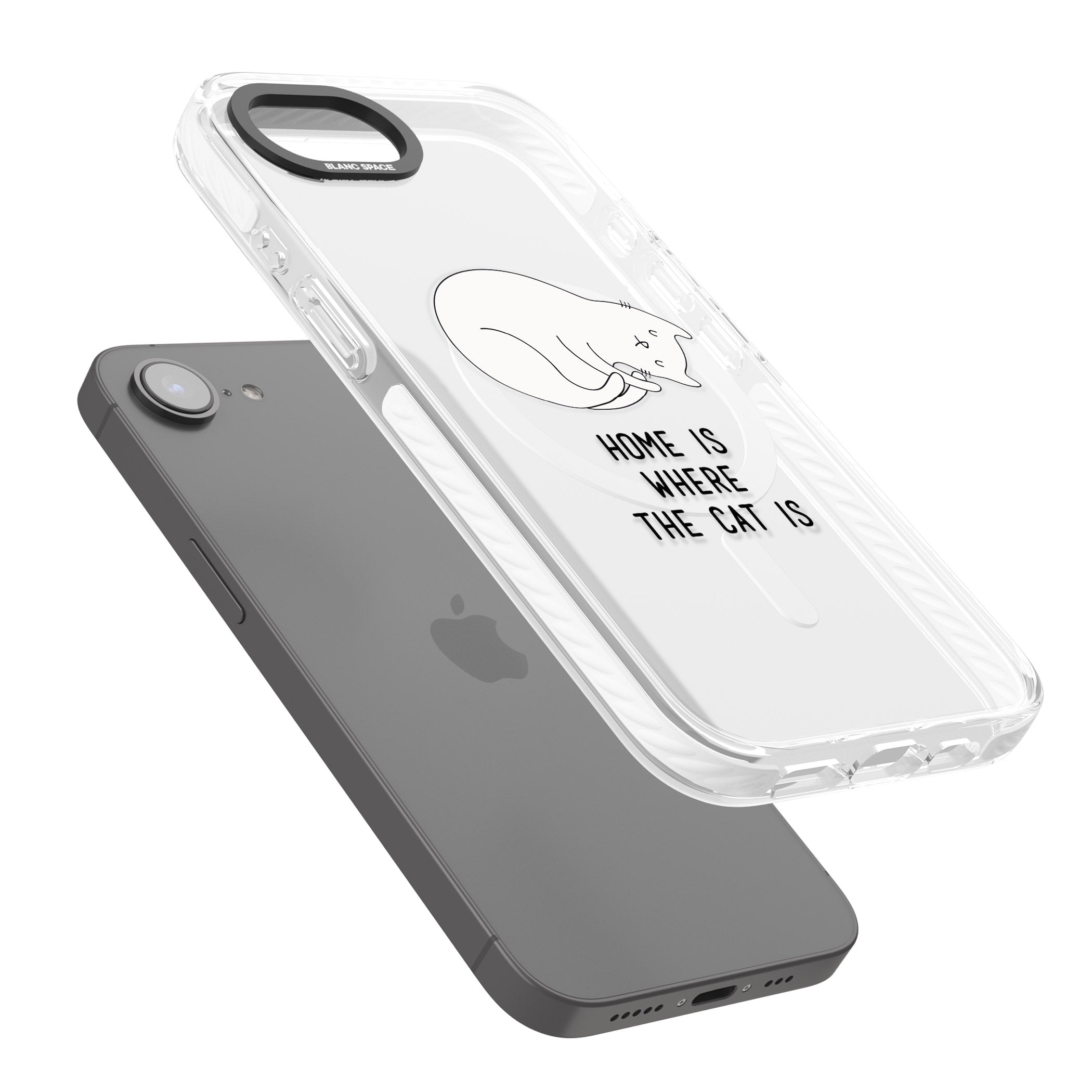 Home Is Where The Cat Is