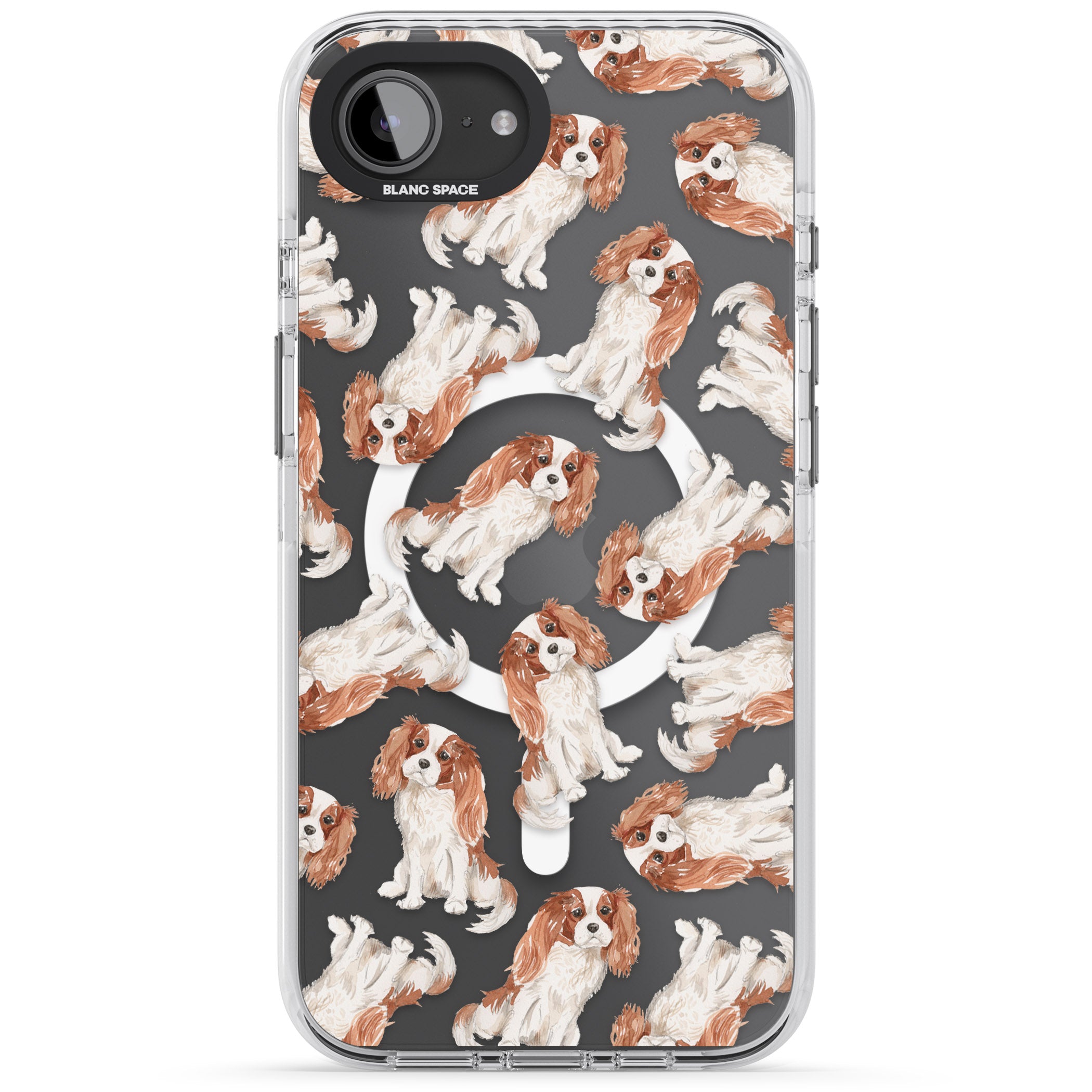 Cavalier King Charles Spaniel