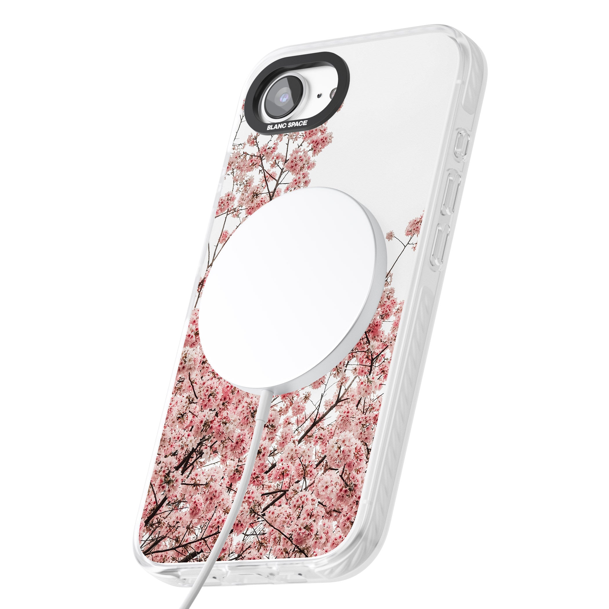 Cherry Blossom Bloom