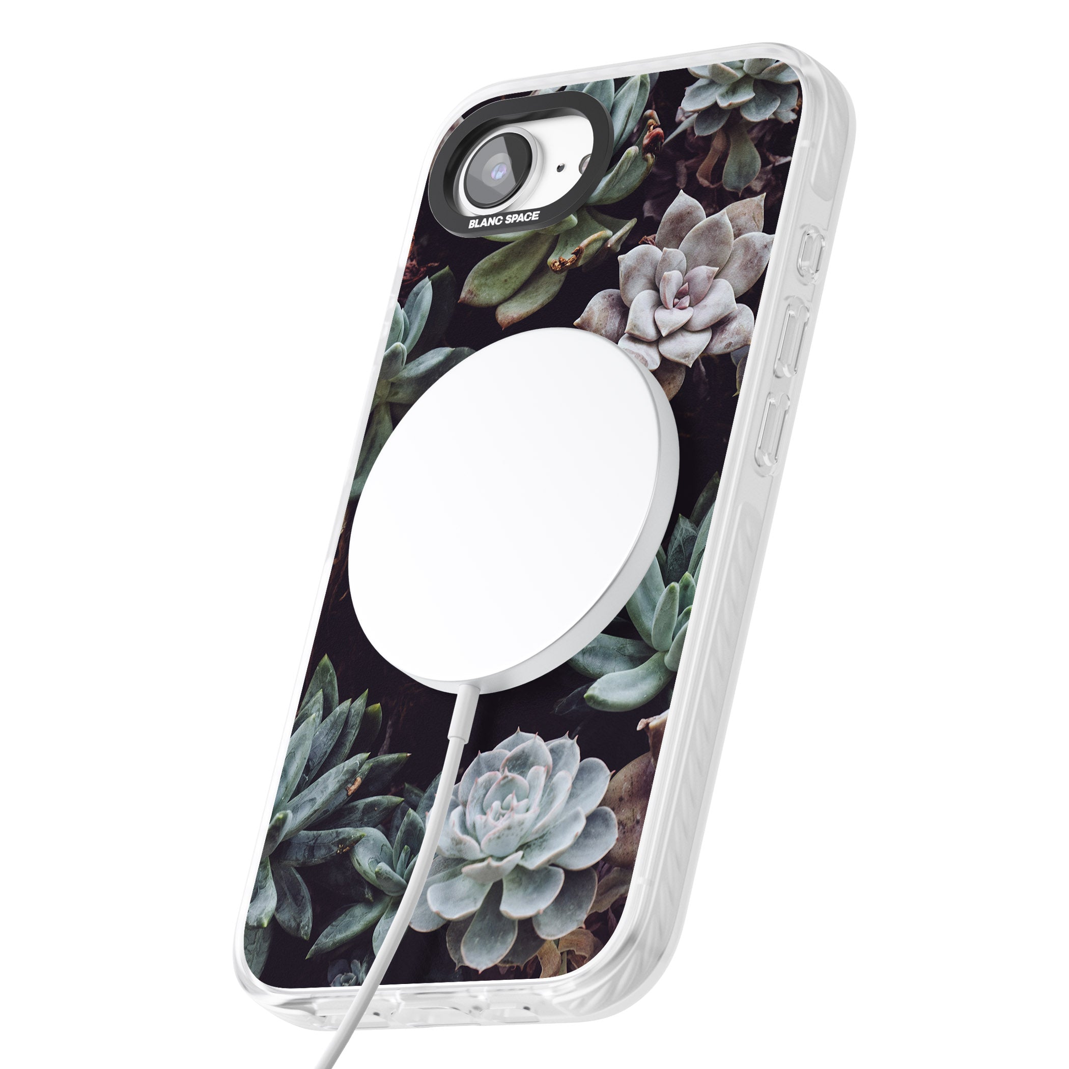 Succulent Bloom Mixed