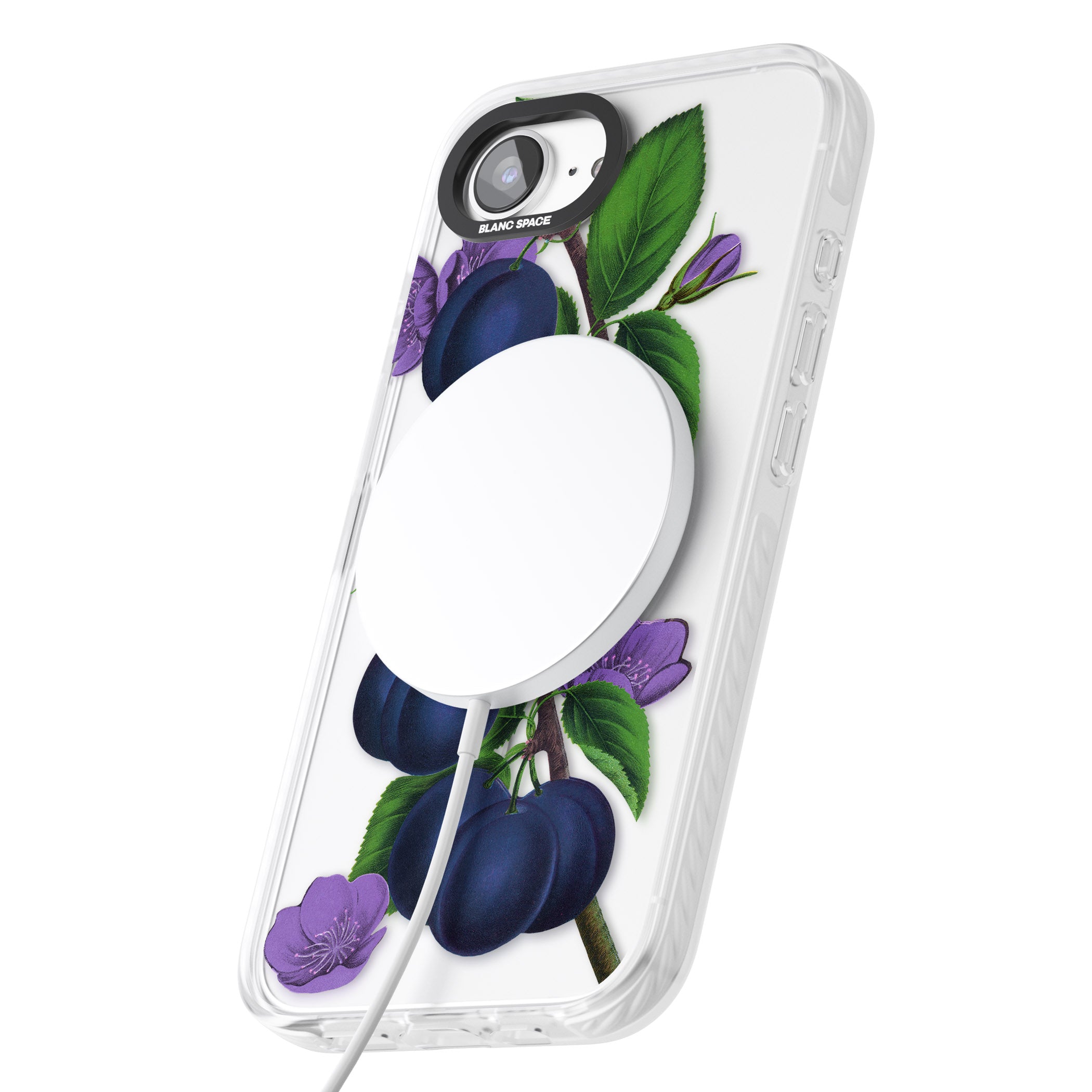 Vintage Painted Plums