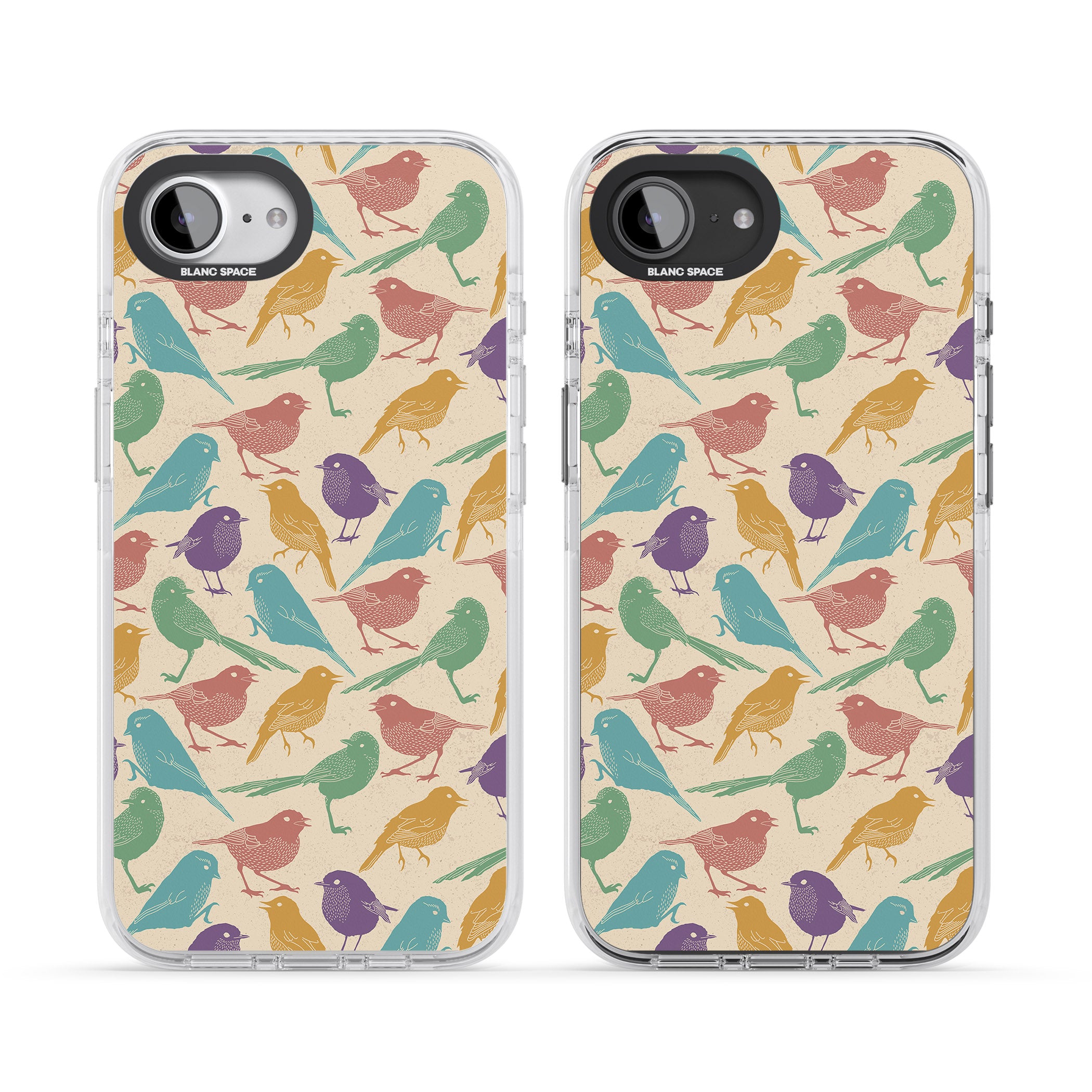 Colorful Feathered Friends