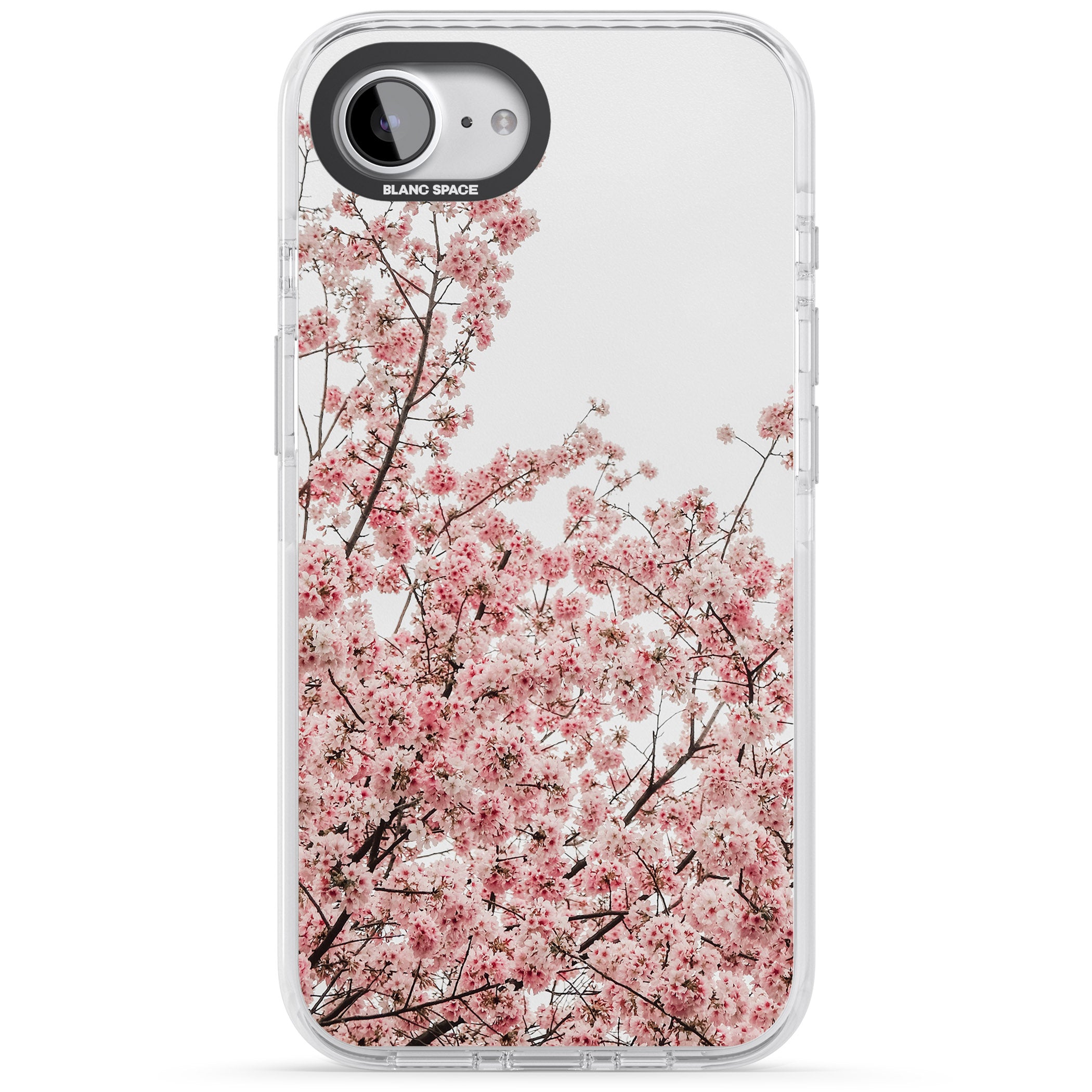 Cherry Blossom Bloom