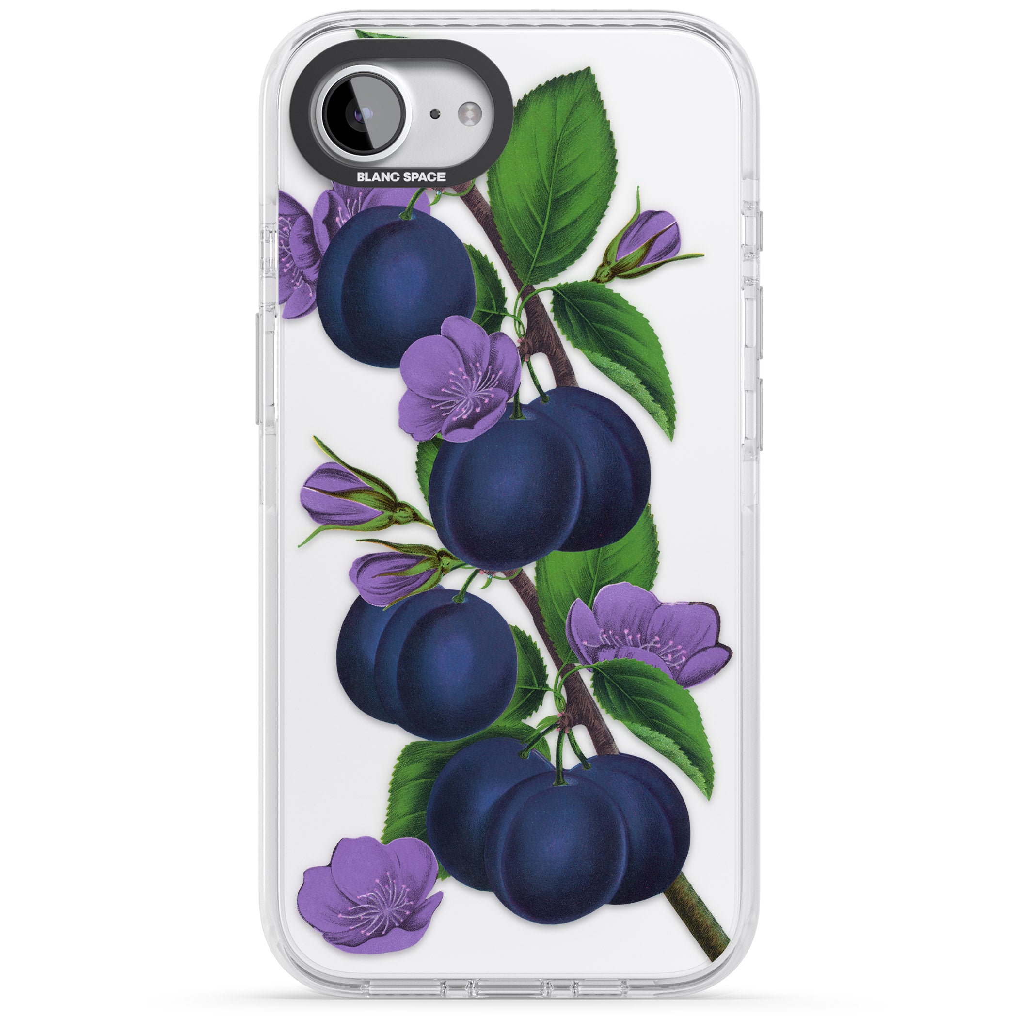 Vintage Painted Plums