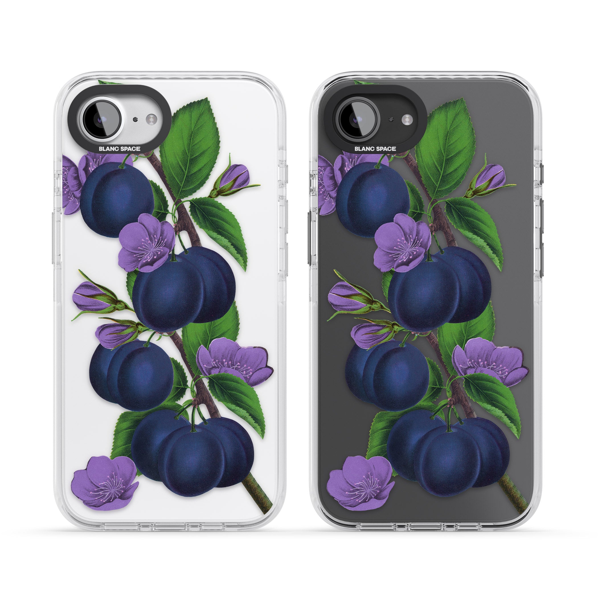 Vintage Painted Plums