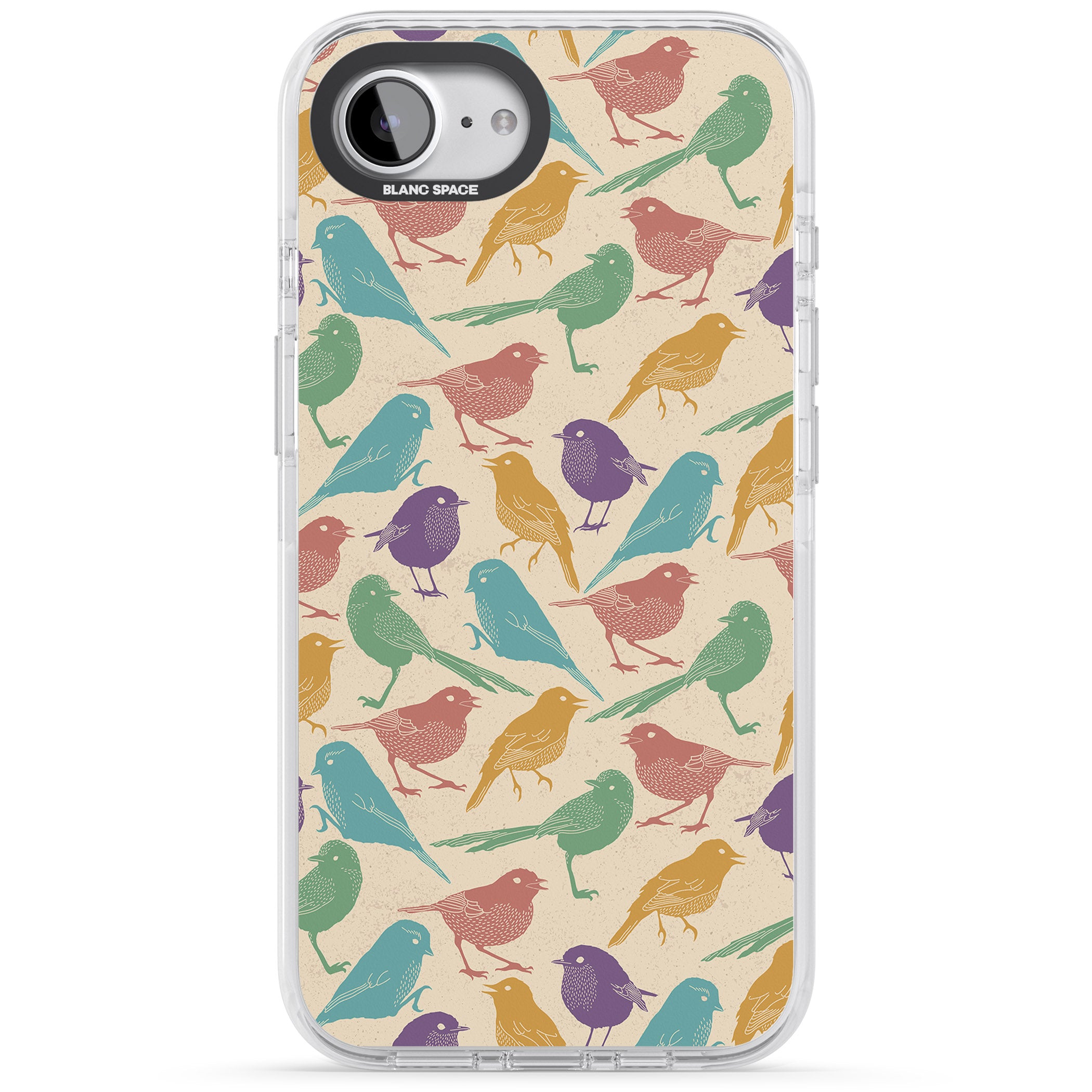 Colorful Feathered Friends