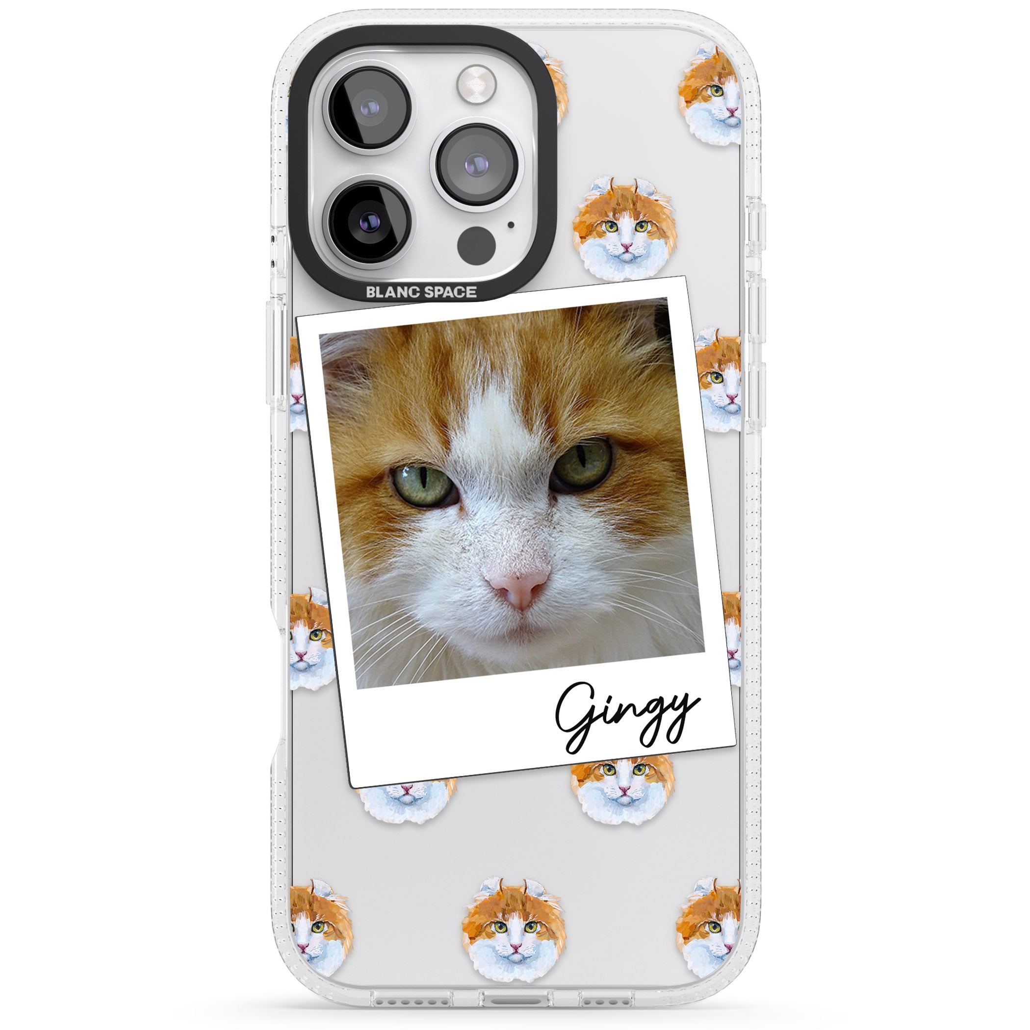Personalised American Curl Photo iPhone 16 Pro Max / 16 Pro Clear Case Impact Air - Blanc Space