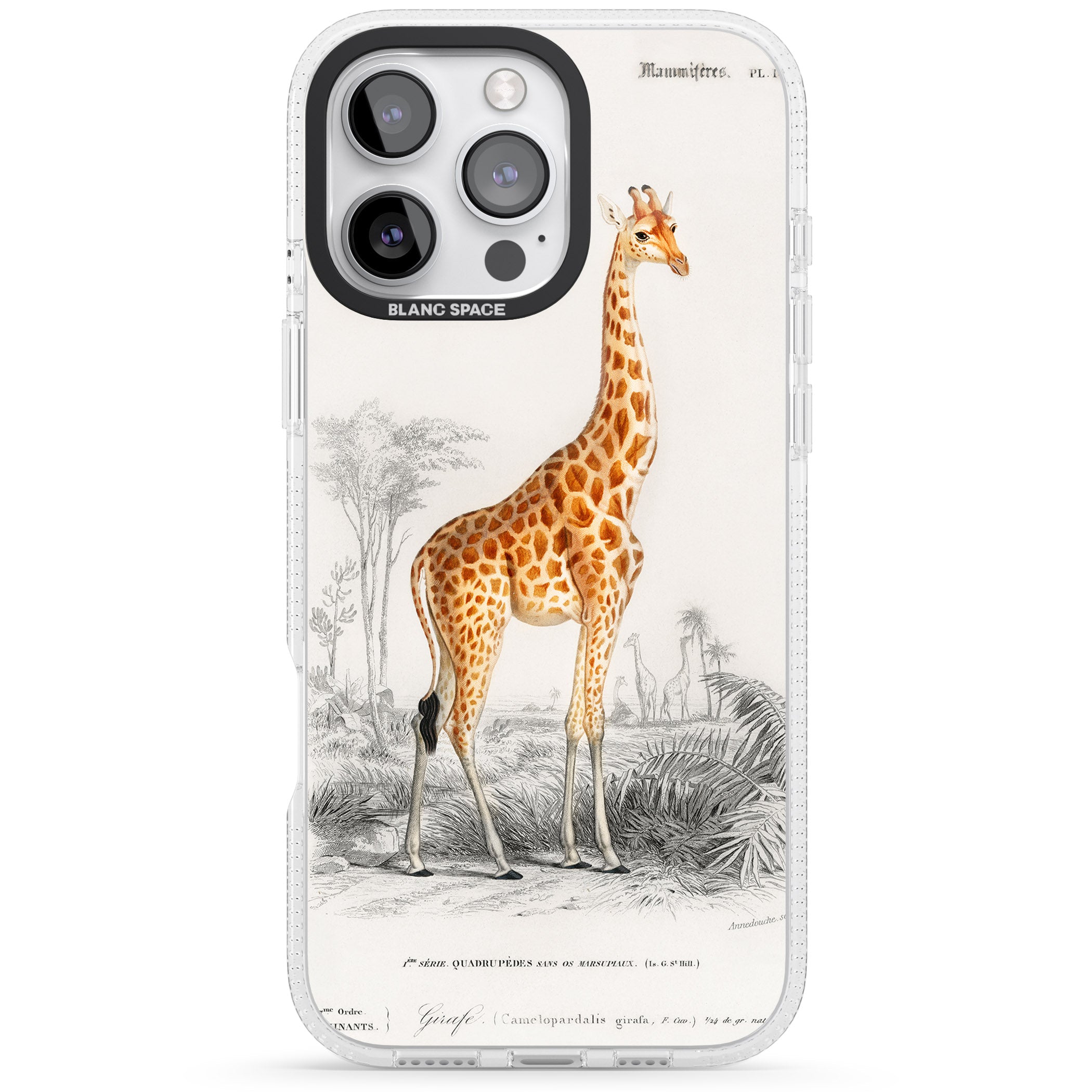 Vintage Giraffe Art iPhone 16 Pro Max / 16 Pro Clear Case Impact Air - Blanc Space
