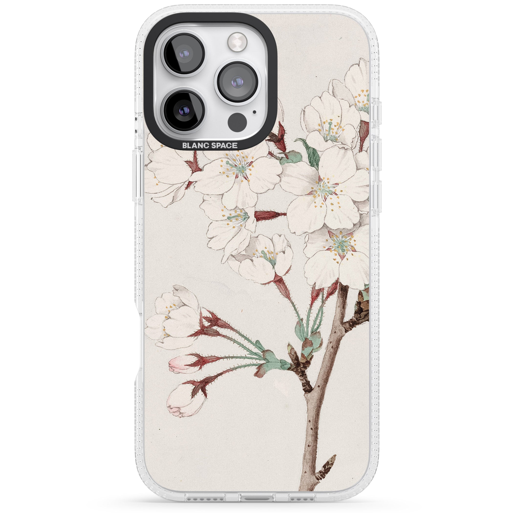 Vintage Japanese Illustrations Cherry Blossoms iPhone 16 Pro Max / 16 Pro Clear Case Impact Air - Blanc Space