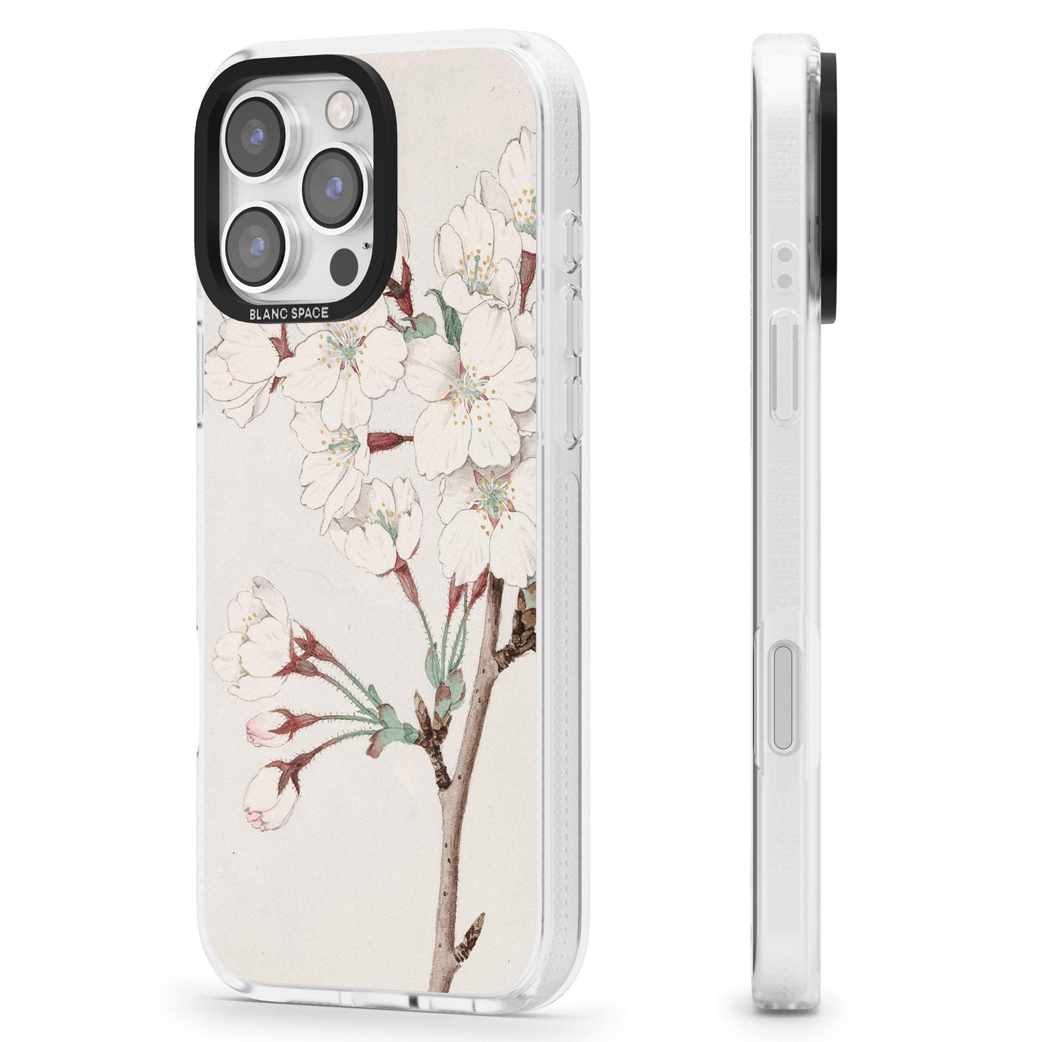 Vintage Japanese Illustrations Cherry Blossoms iPhone 16 Pro Max / 16 Pro Clear Case Impact Air - Blanc Space