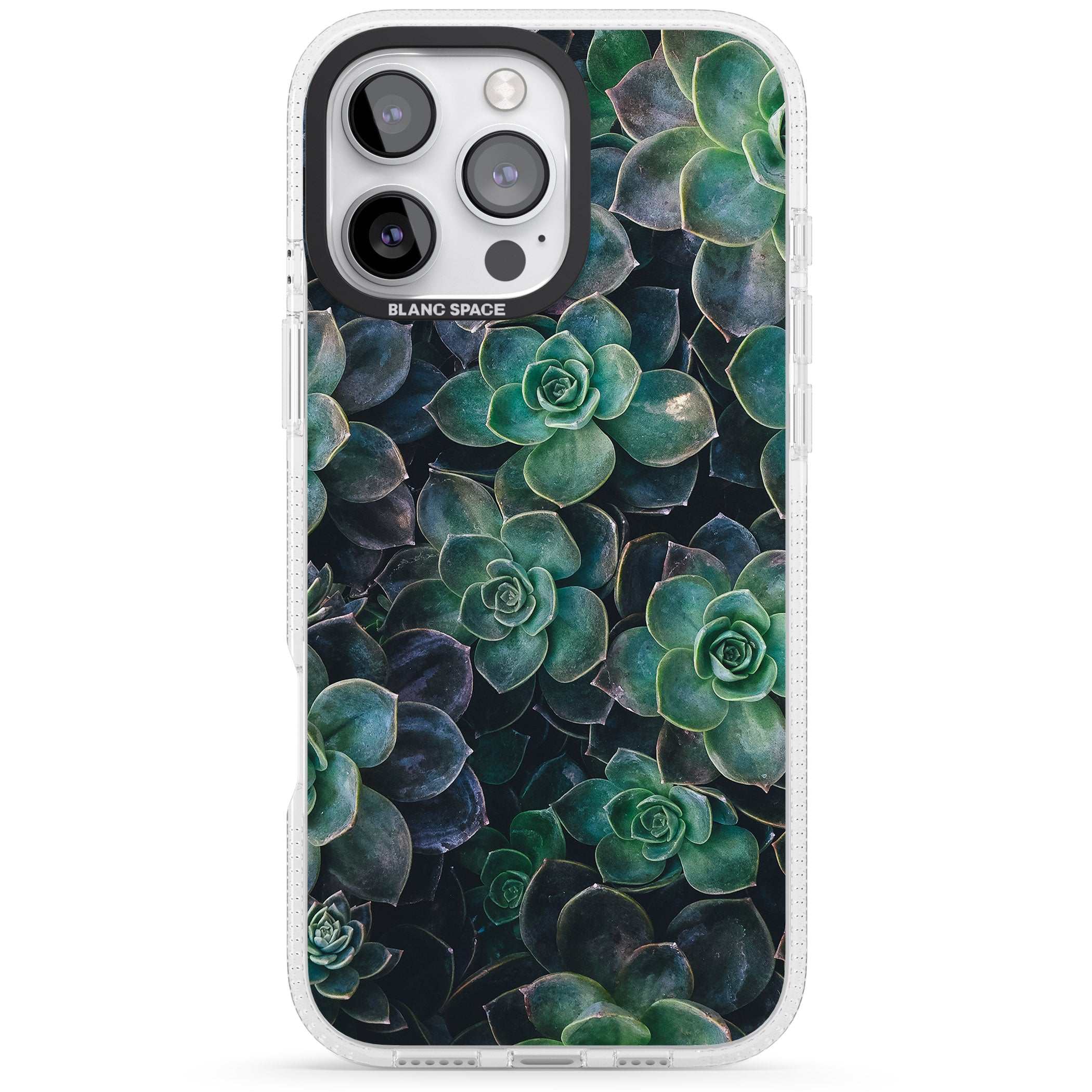 Succulents - Real Botanical Photographs iPhone 16 Pro Max / 16 Pro Clear Case Impact Air - Blanc Space