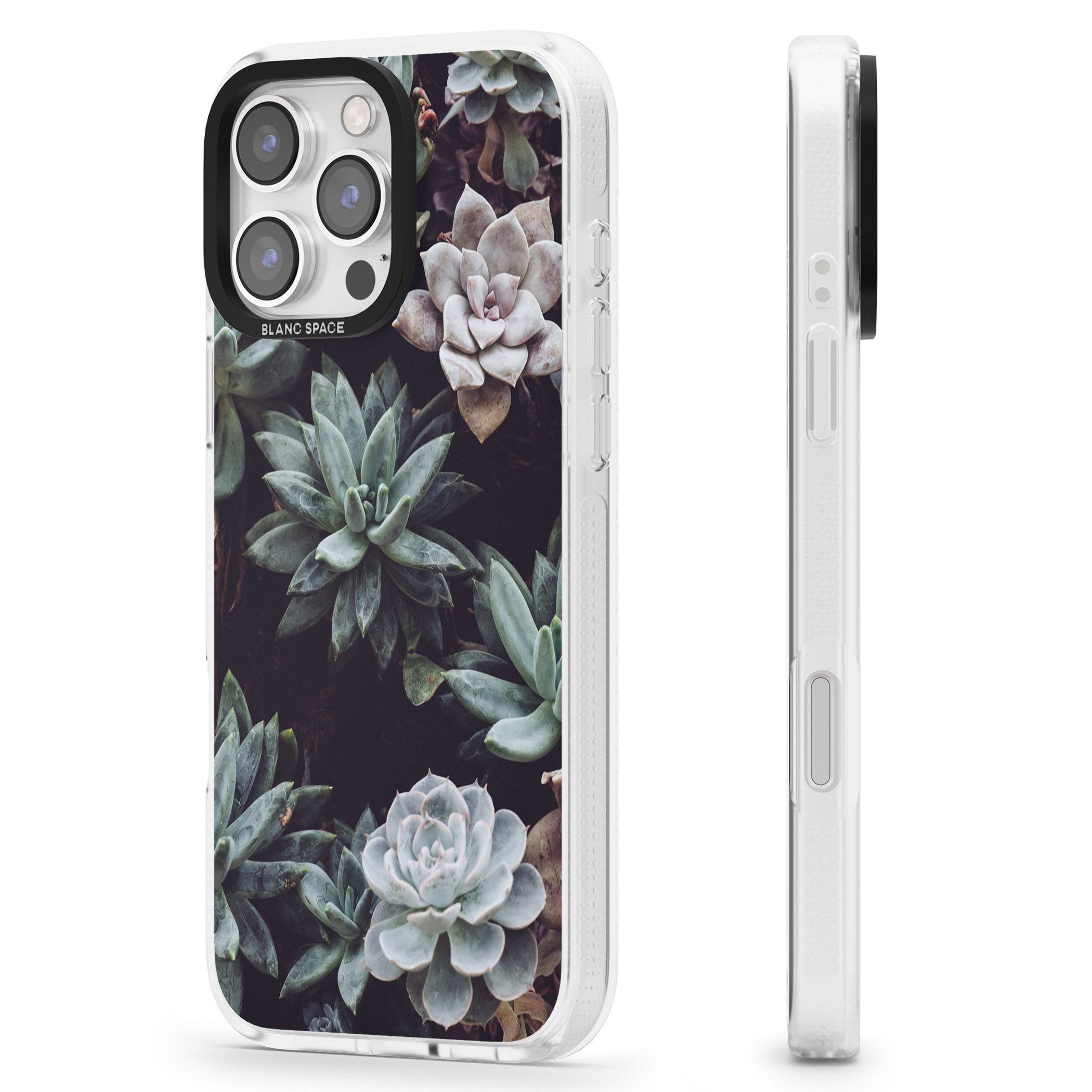 Mixed Succulents - Real Botanical Photographs iPhone 16 Pro Max / 16 Pro Clear Case Impact Air - Blanc Space