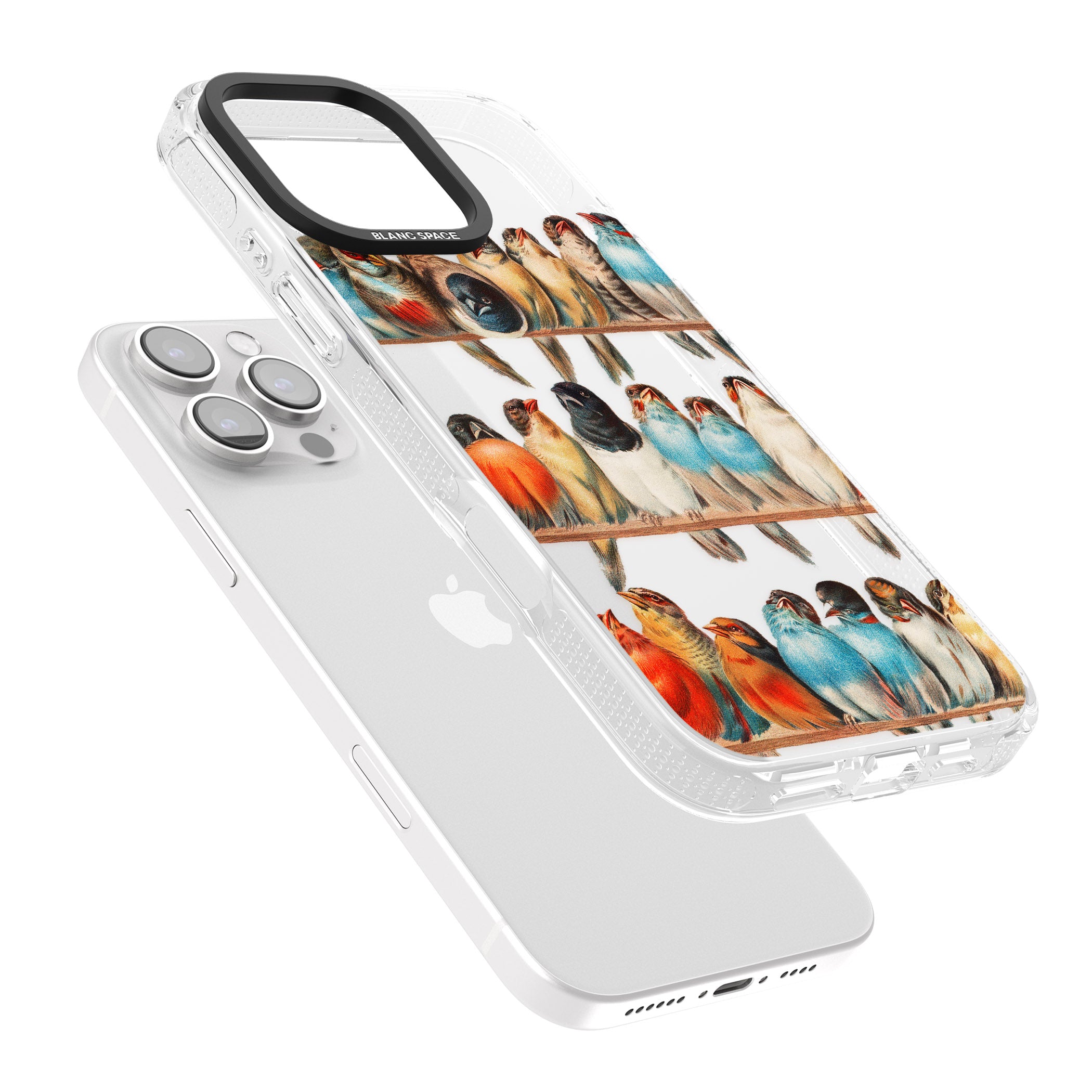 A Perch of Birds iPhone 16 Pro Max / 16 Pro Clear Case Impact Air - Blanc Space