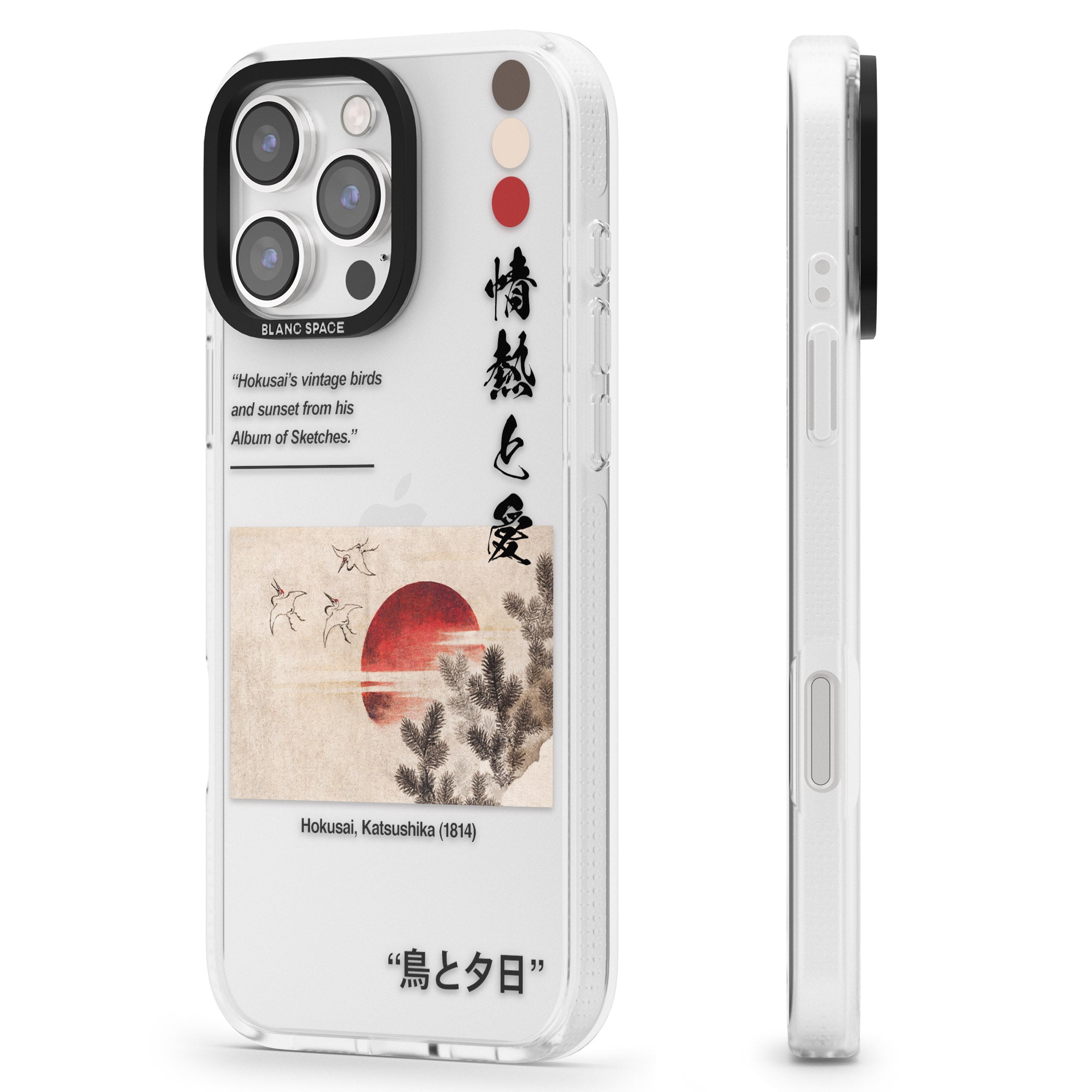 Birds and Sunset iPhone 16 Pro Max / 16 Pro Clear Case Impact Air - Blanc Space