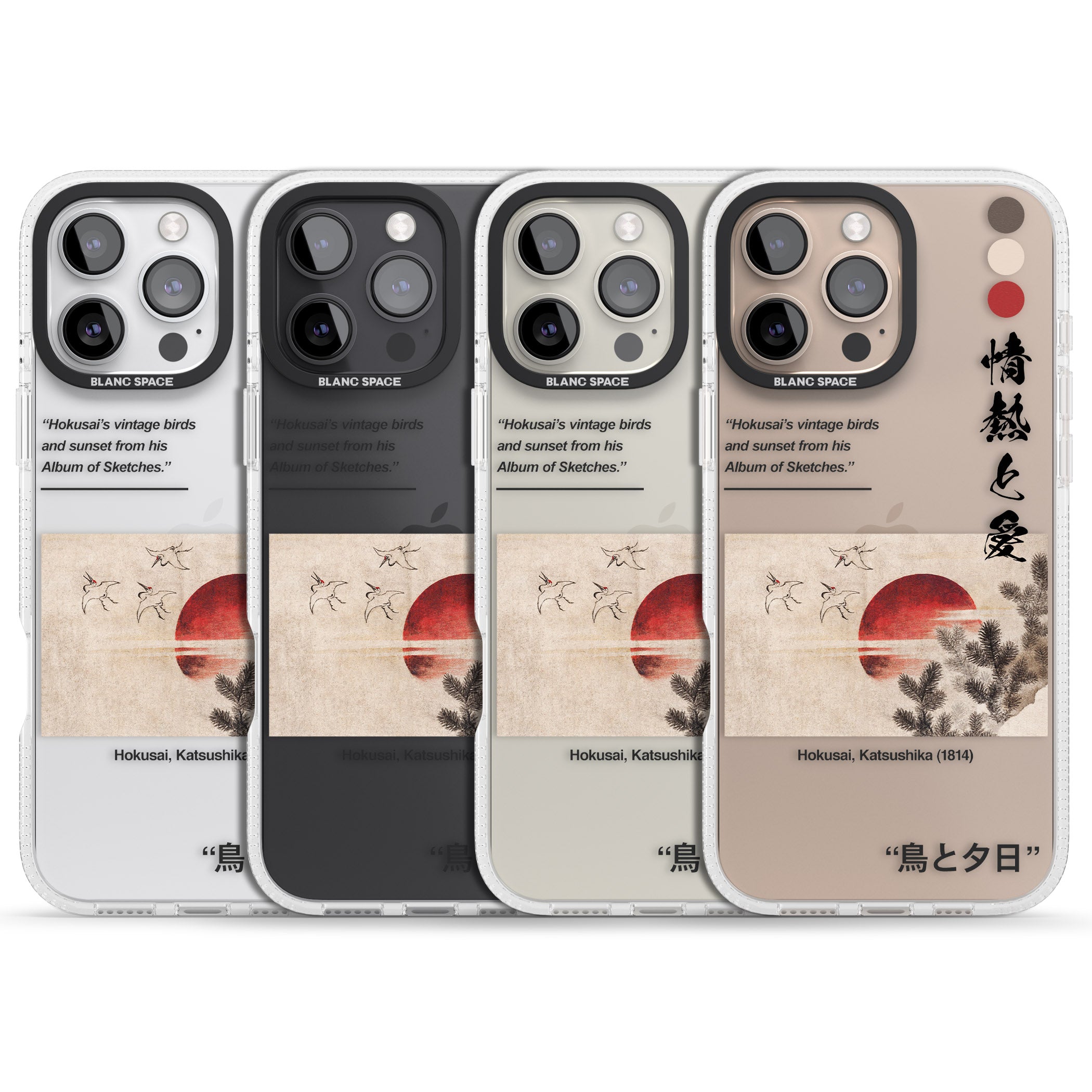 Birds and Sunset iPhone 16 Pro Max / 16 Pro Clear Case Impact Air - Blanc Space