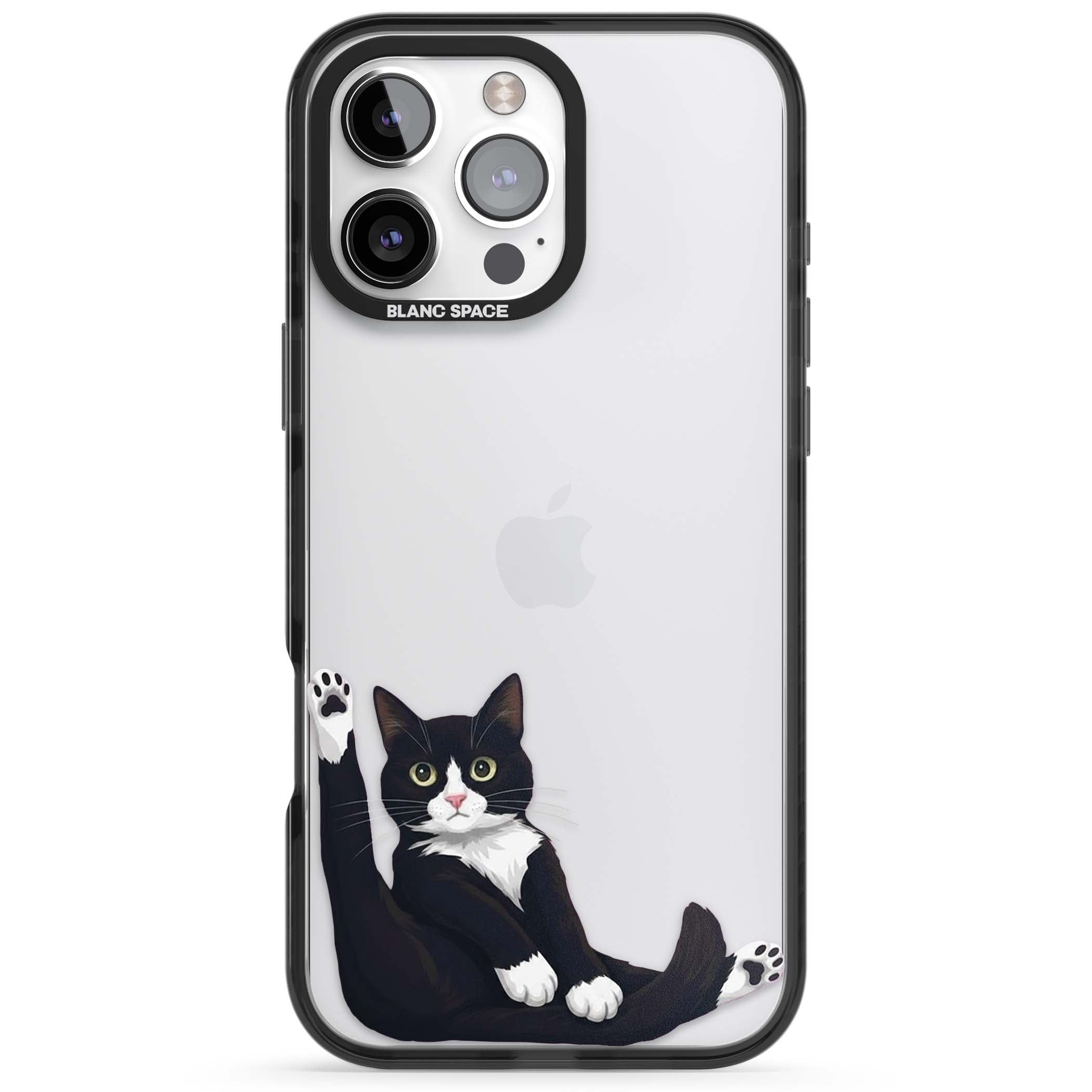 Mid-Groom Cat animals iPhone case | Black Impact case for iPhone 16 Pro, iPhone 16 Pro Max