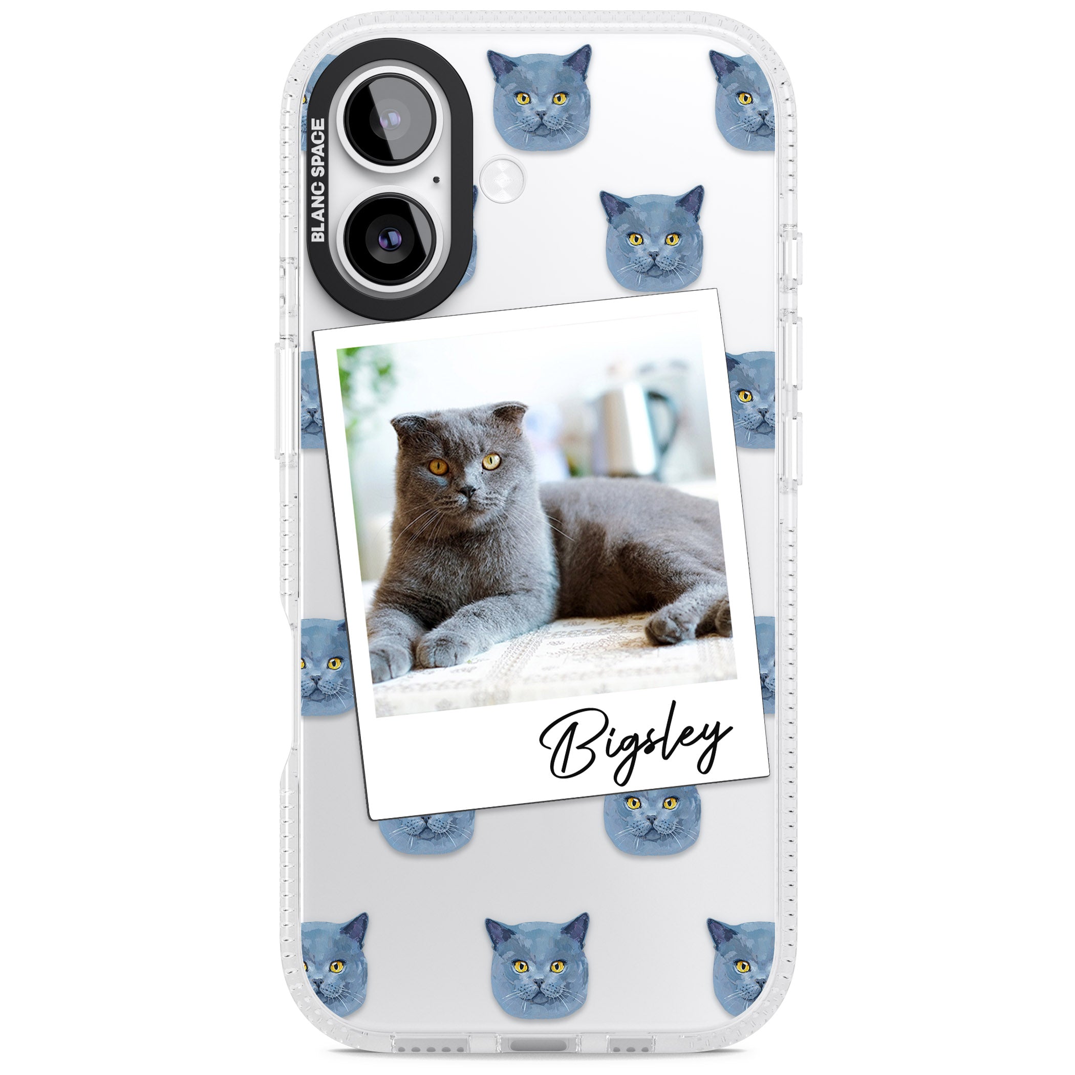 Personalised English Blue Cat Photo iPhone 17 Impact Air Clear Phone Case