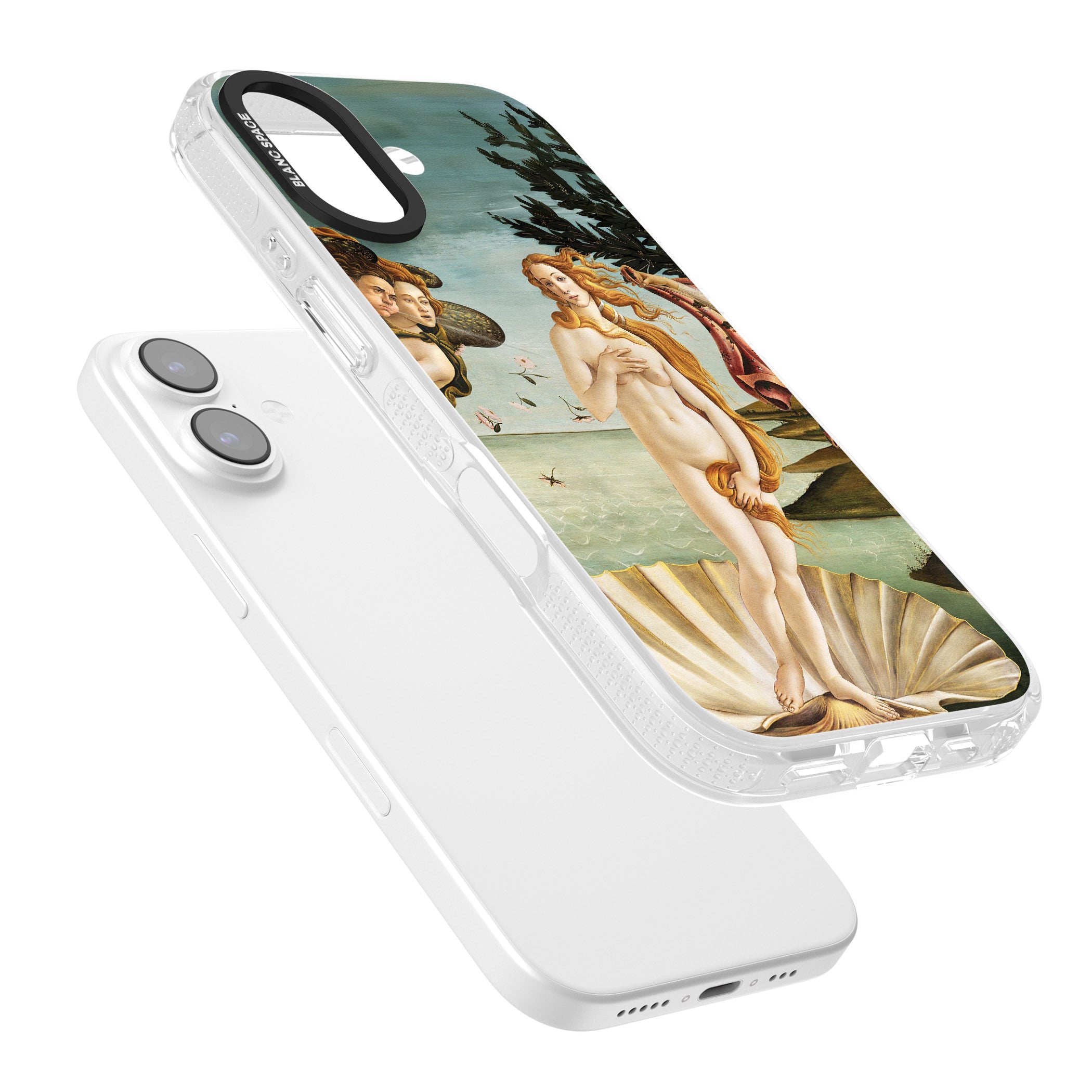 The Birth of Venus - Sandro Botticelli iPhone 17 Impact Air Clear Phone Case Colours