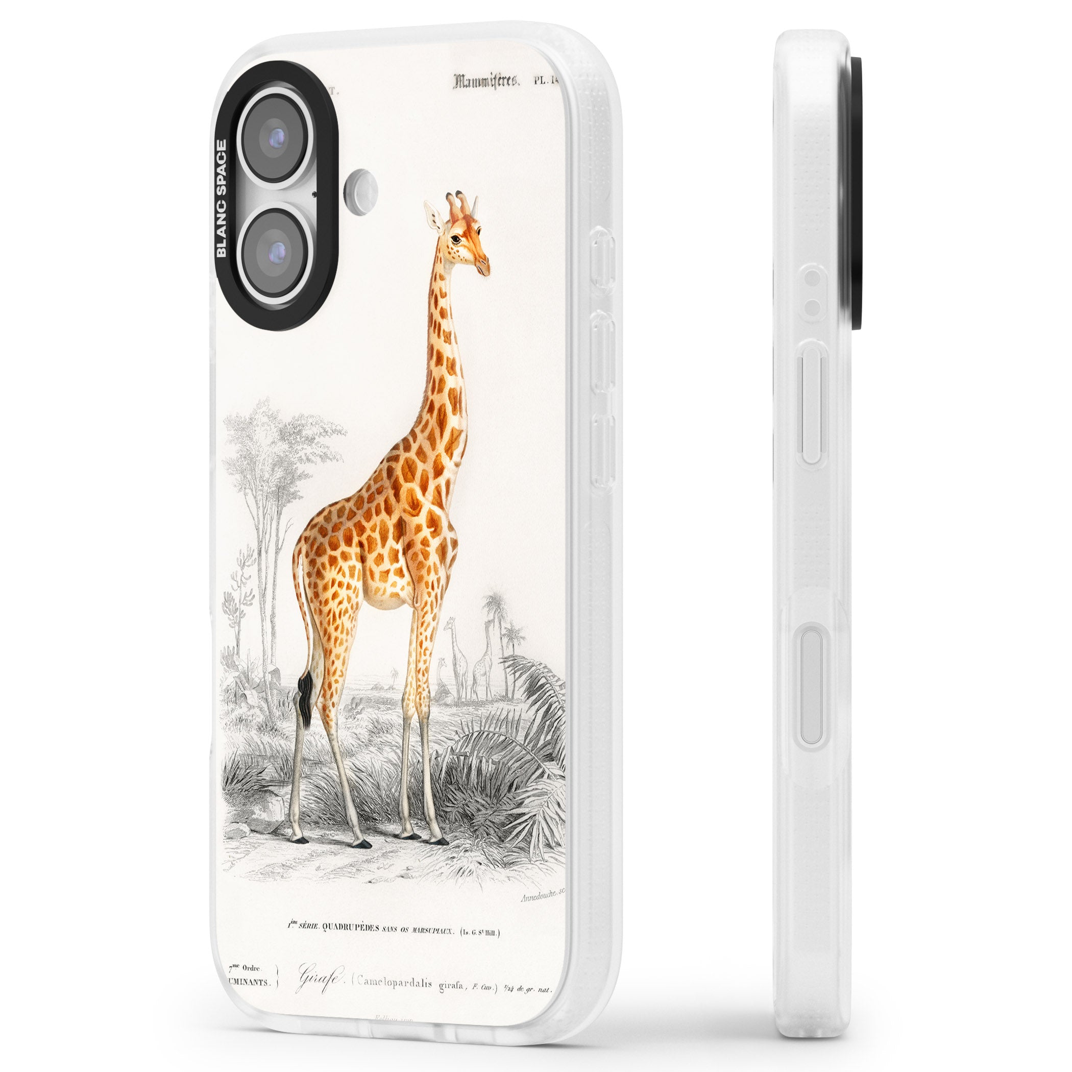 Vintage Giraffe Art iPhone 17 Impact Air Clear Phone Case Side Profile