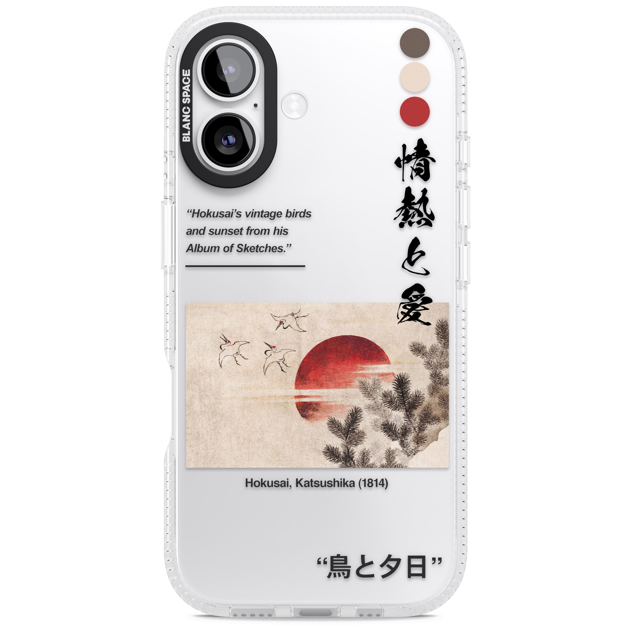 Birds And Sunset iPhone 17 Impact Air Clear Phone Case