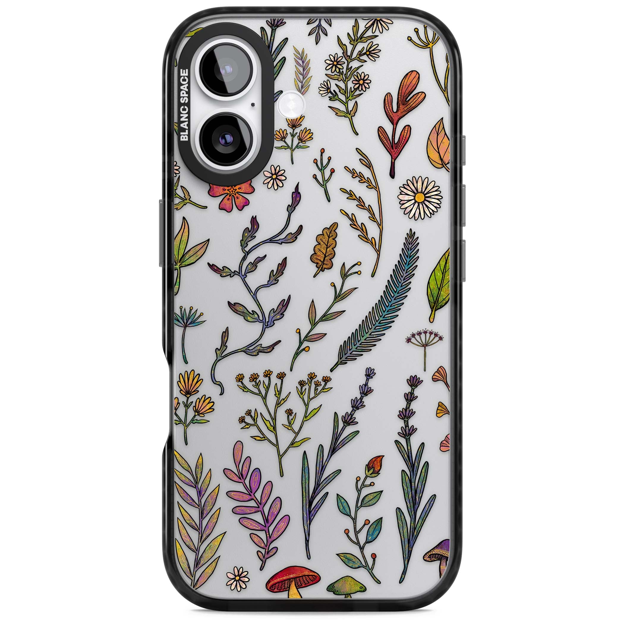 Autumn Wildflowers