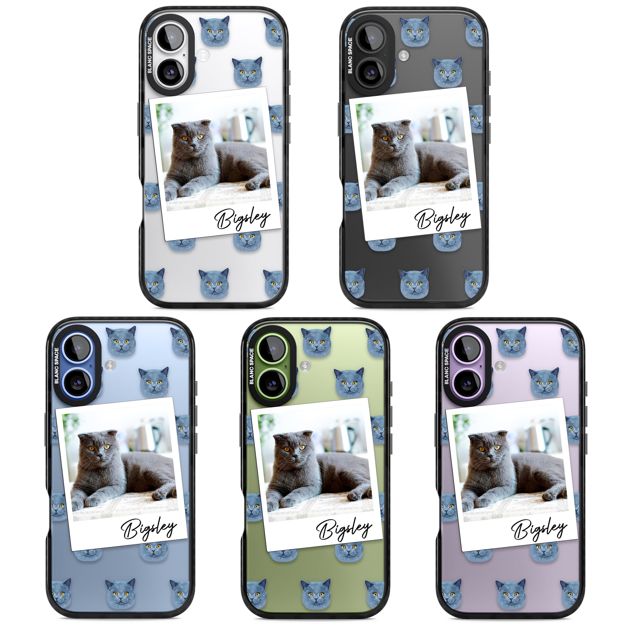 Personalised English Blue Cat Photo iPhone 17 Impact Black Phone Case APT Impact Protection