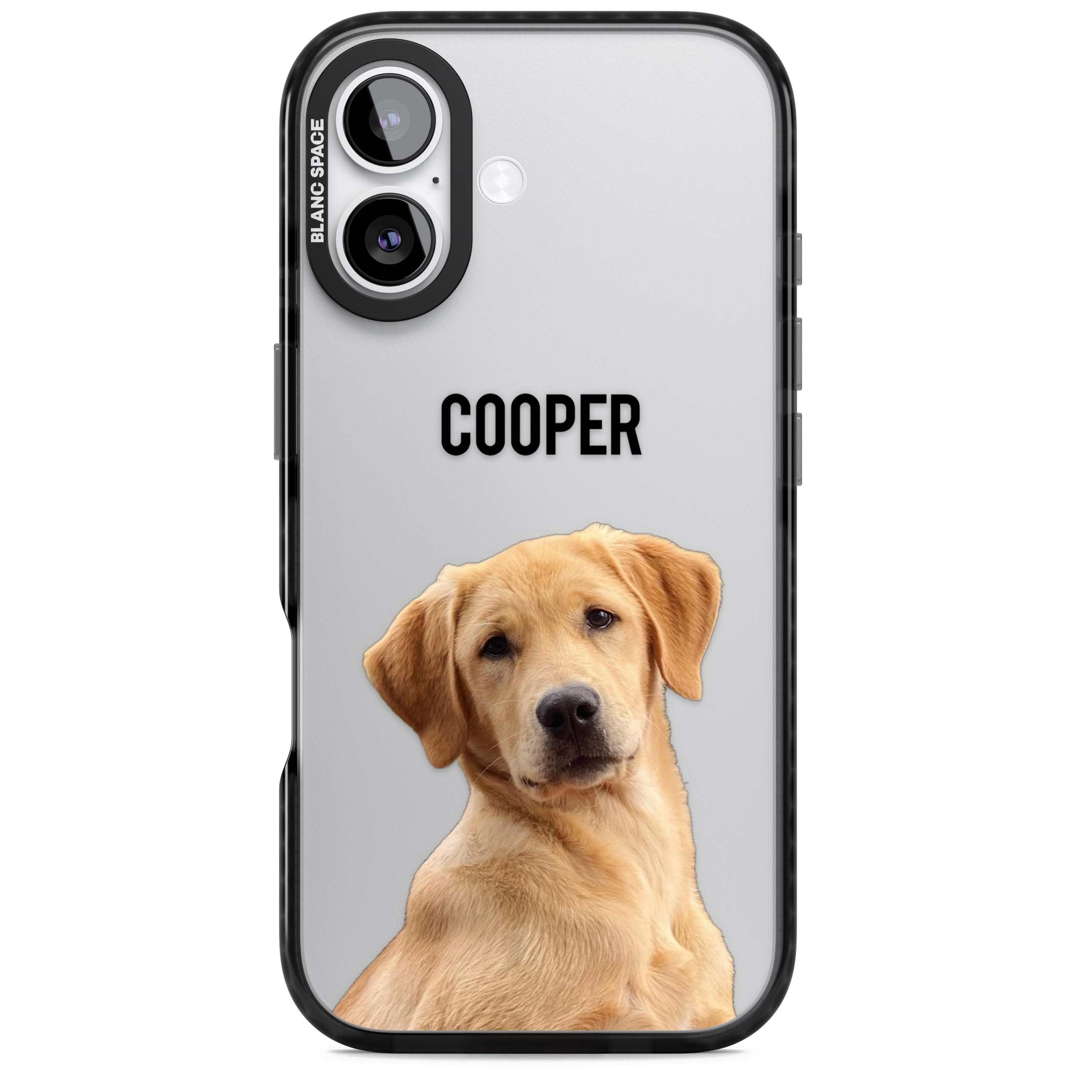 Personalised Pet Cutout & Name